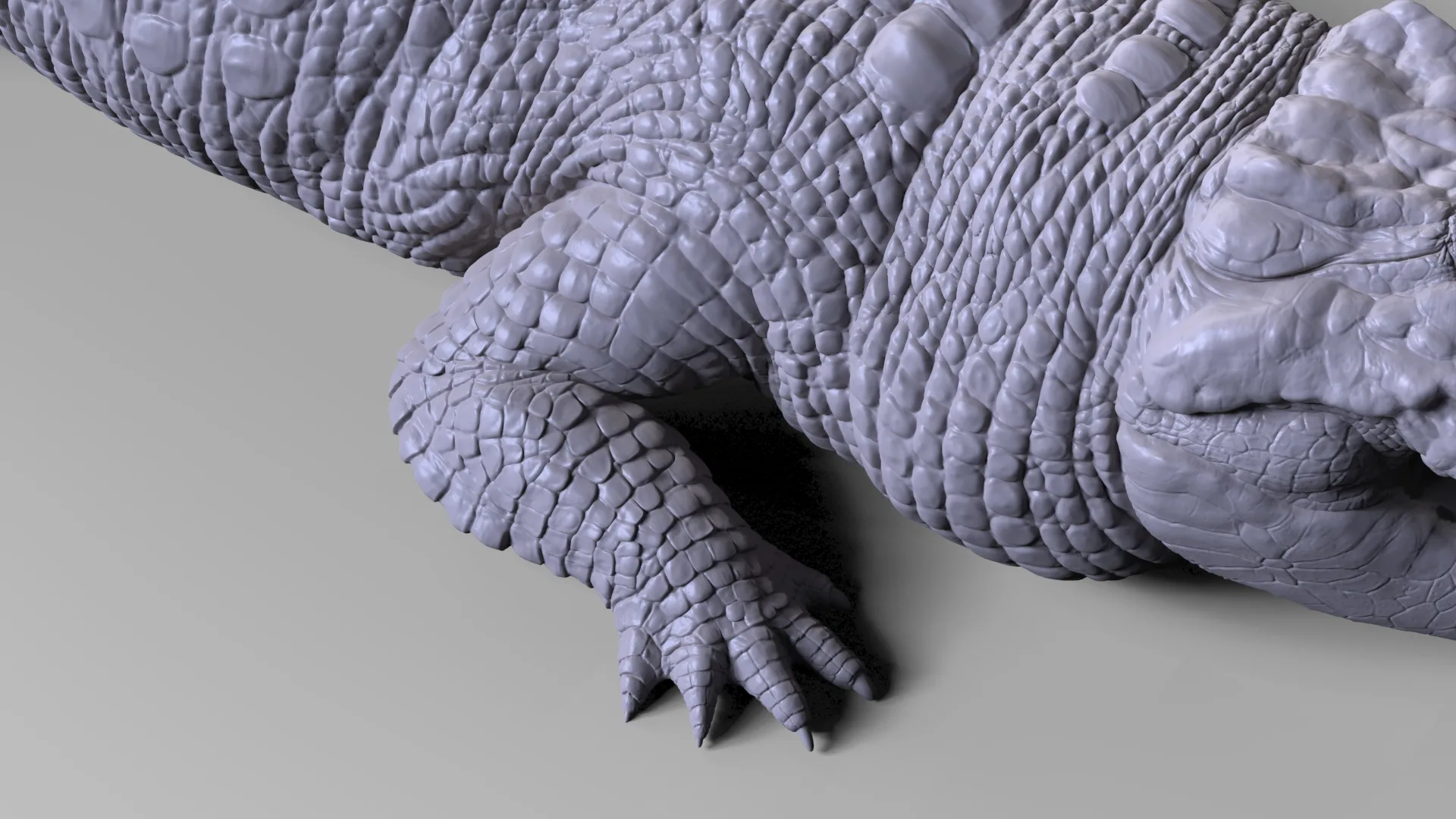 Production Quality Nile Crocodile 3D Model & ZBrush Sculpt