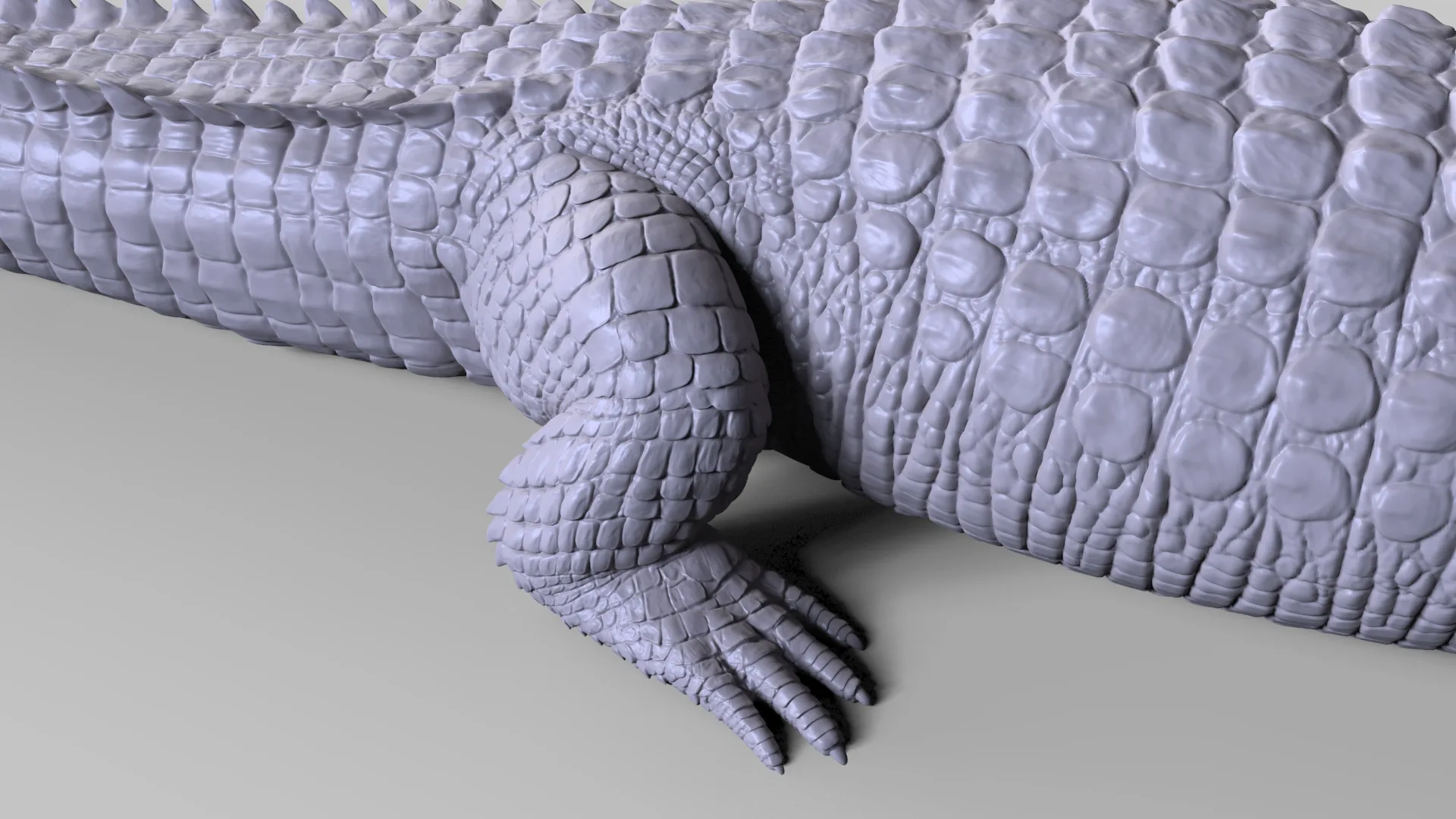 Production Quality Nile Crocodile 3D Model & ZBrush Sculpt