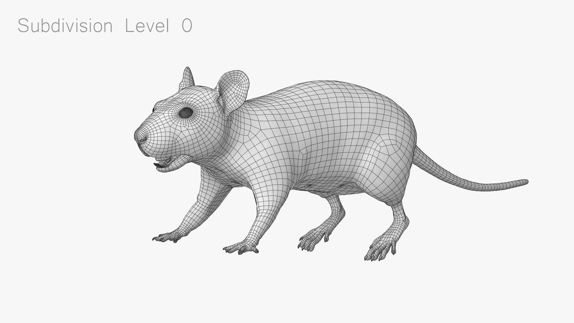 Rat Fur Animated Black