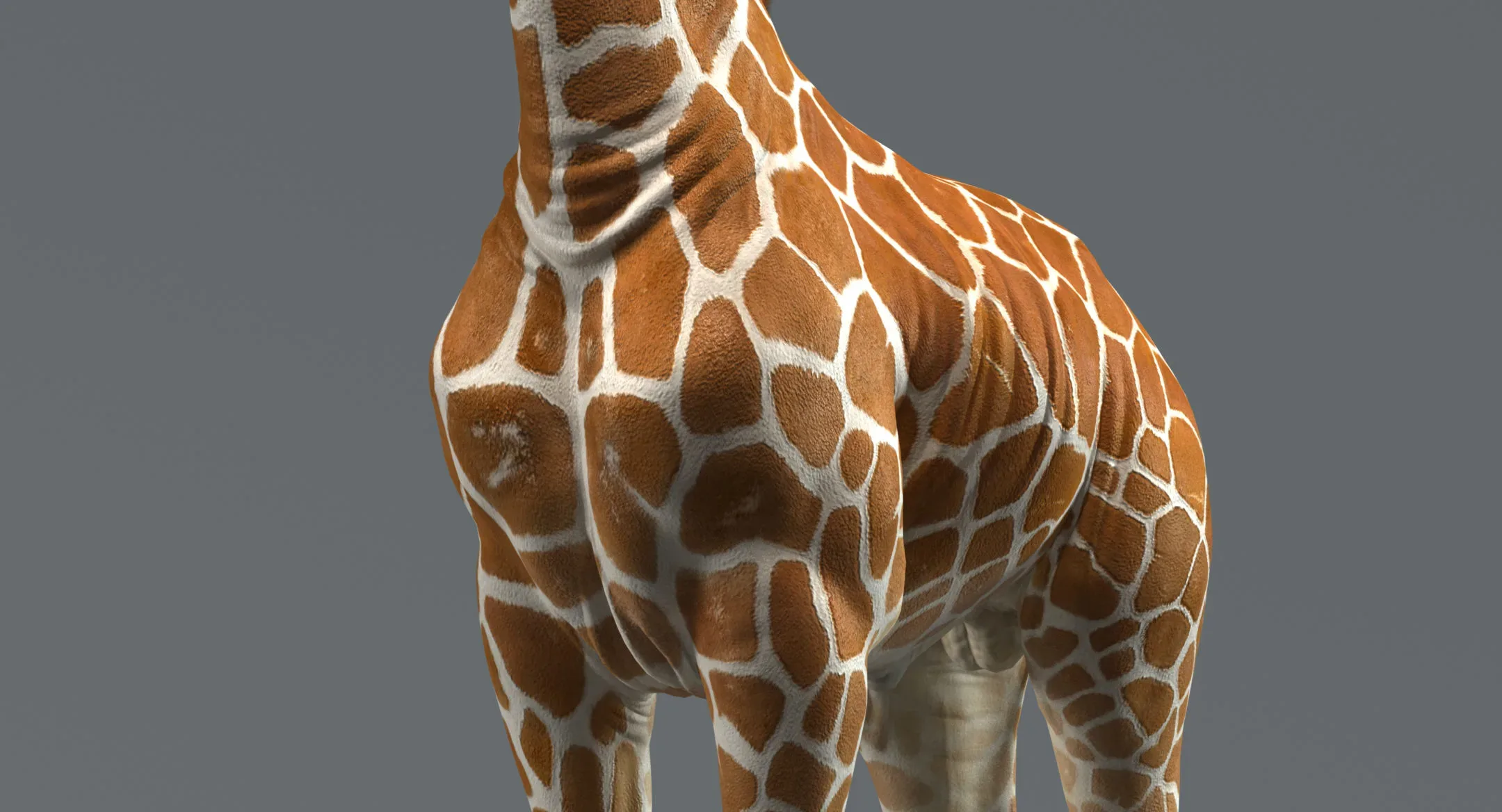 Giraffe Rigged