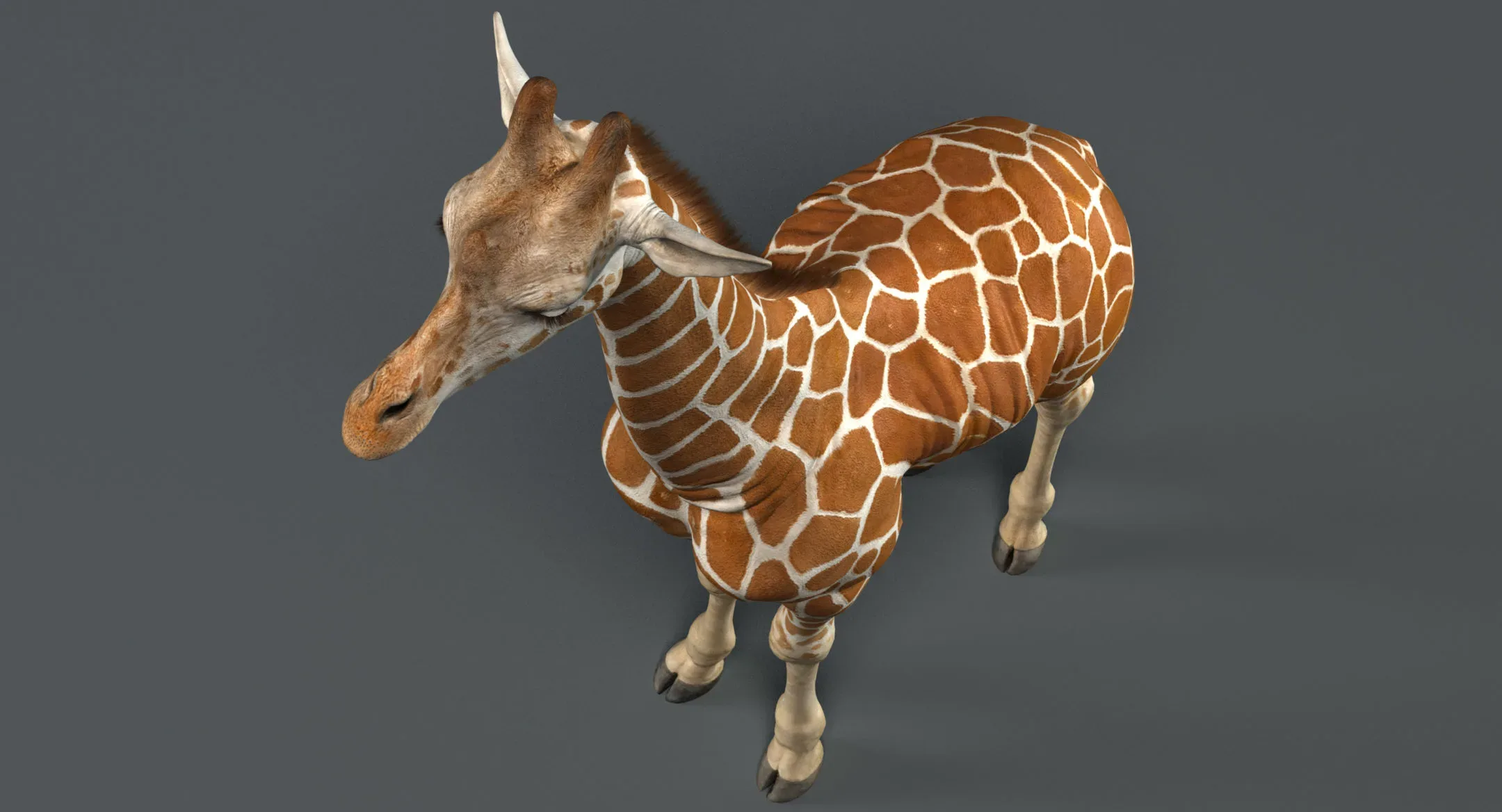 Giraffe Rigged