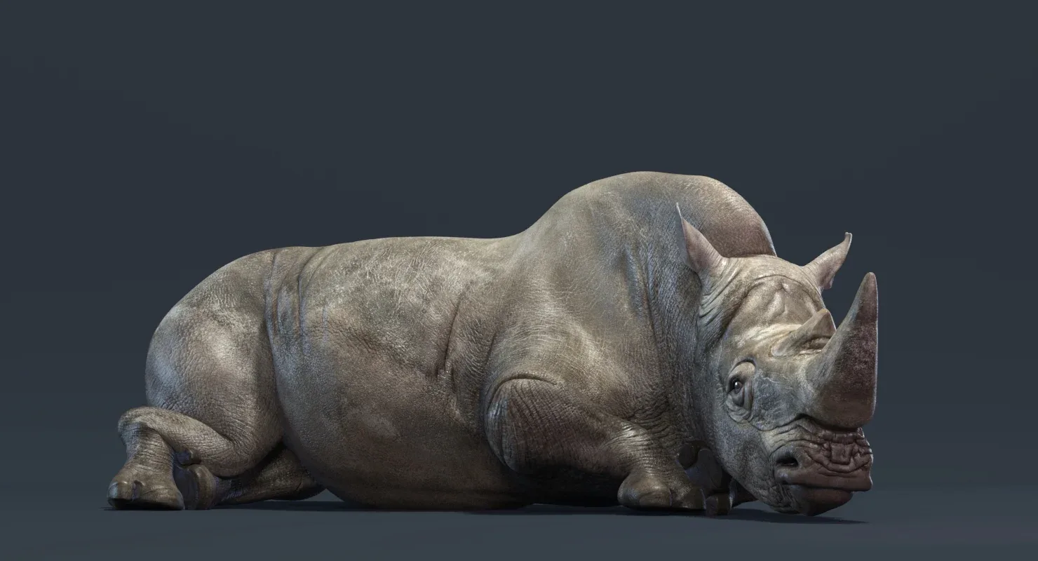 Rhino Rigged