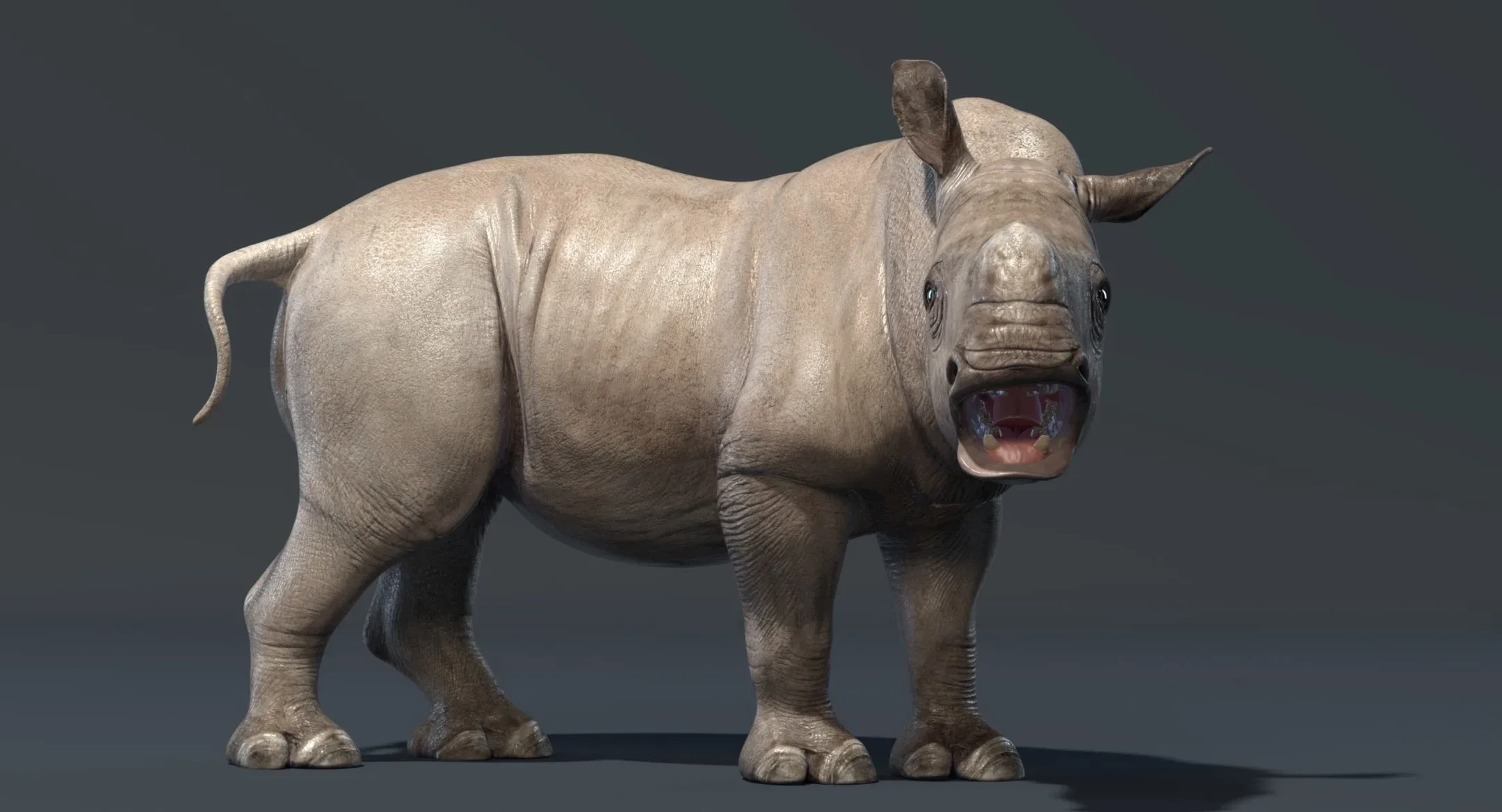 Rhino Baby Rigged