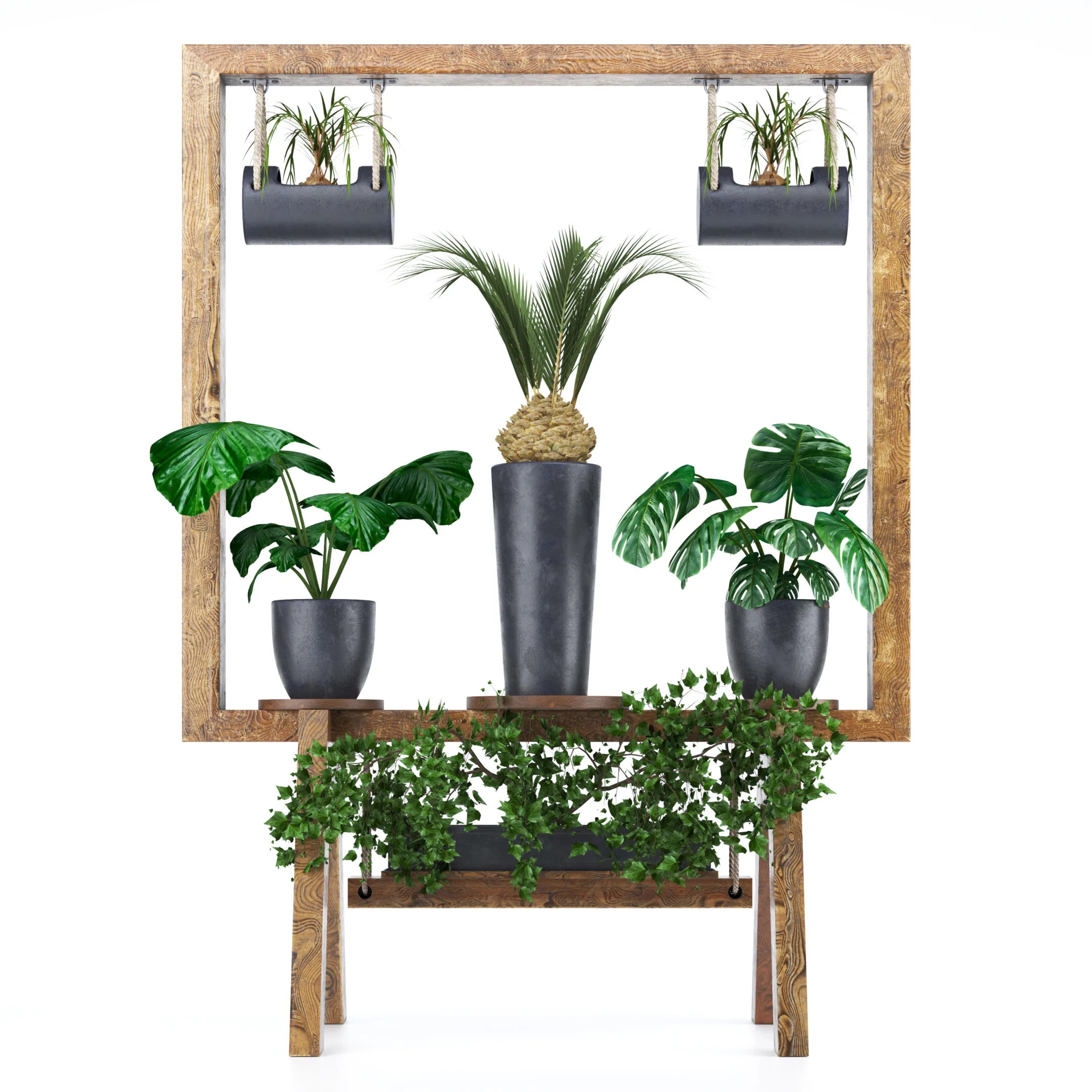 Wooden Stand of Plants Collection