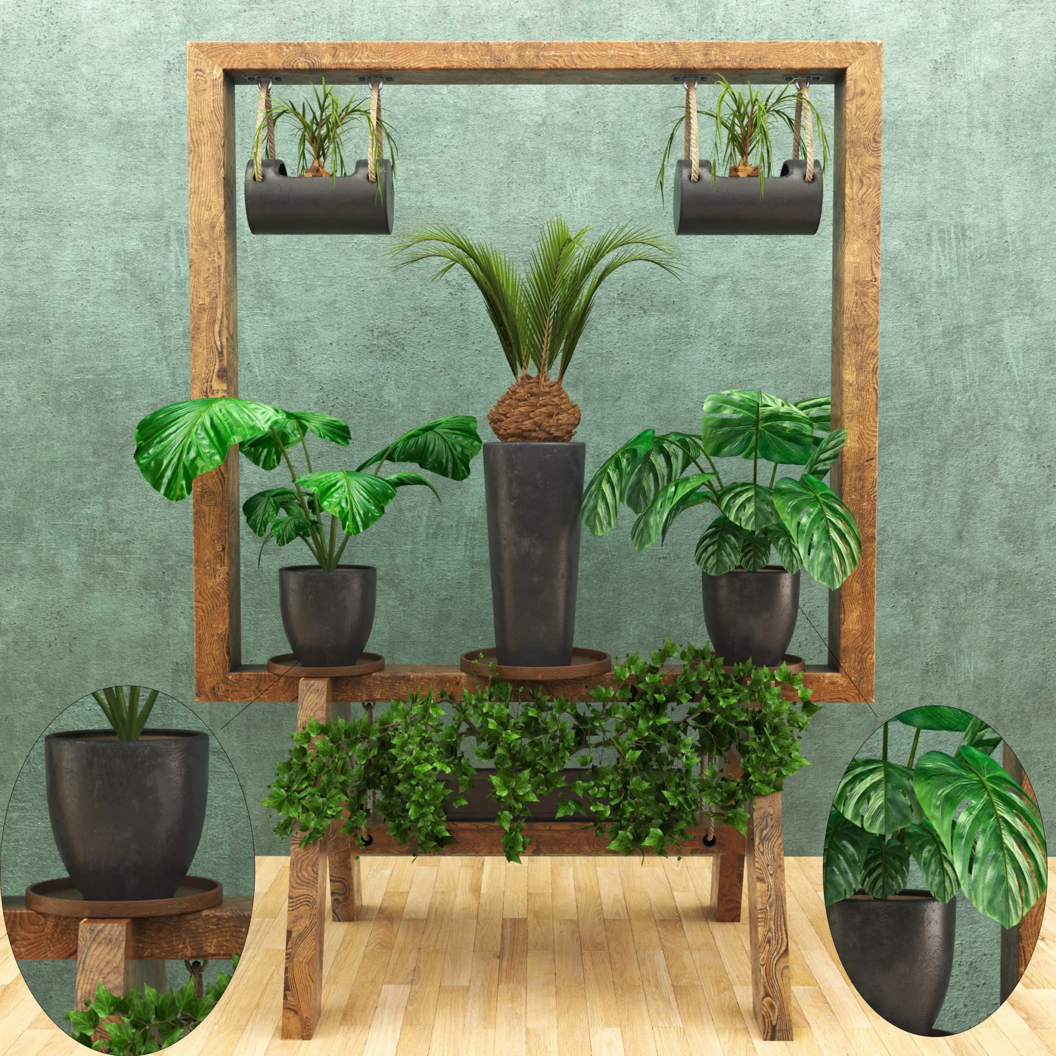 Wooden Stand of Plants Collection