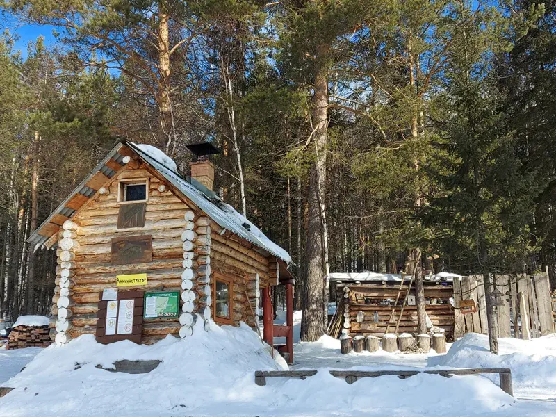 Winter Snow Nature