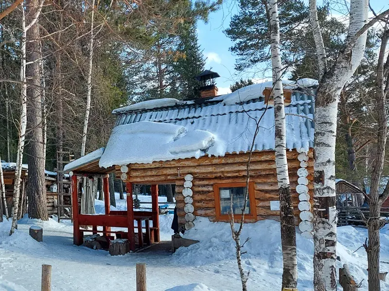 Winter Snow Nature