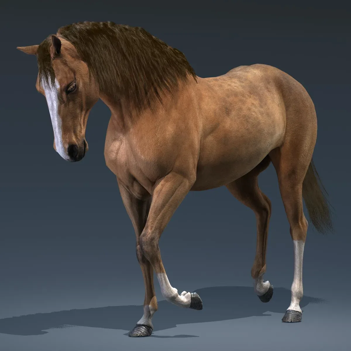 Horse Brown