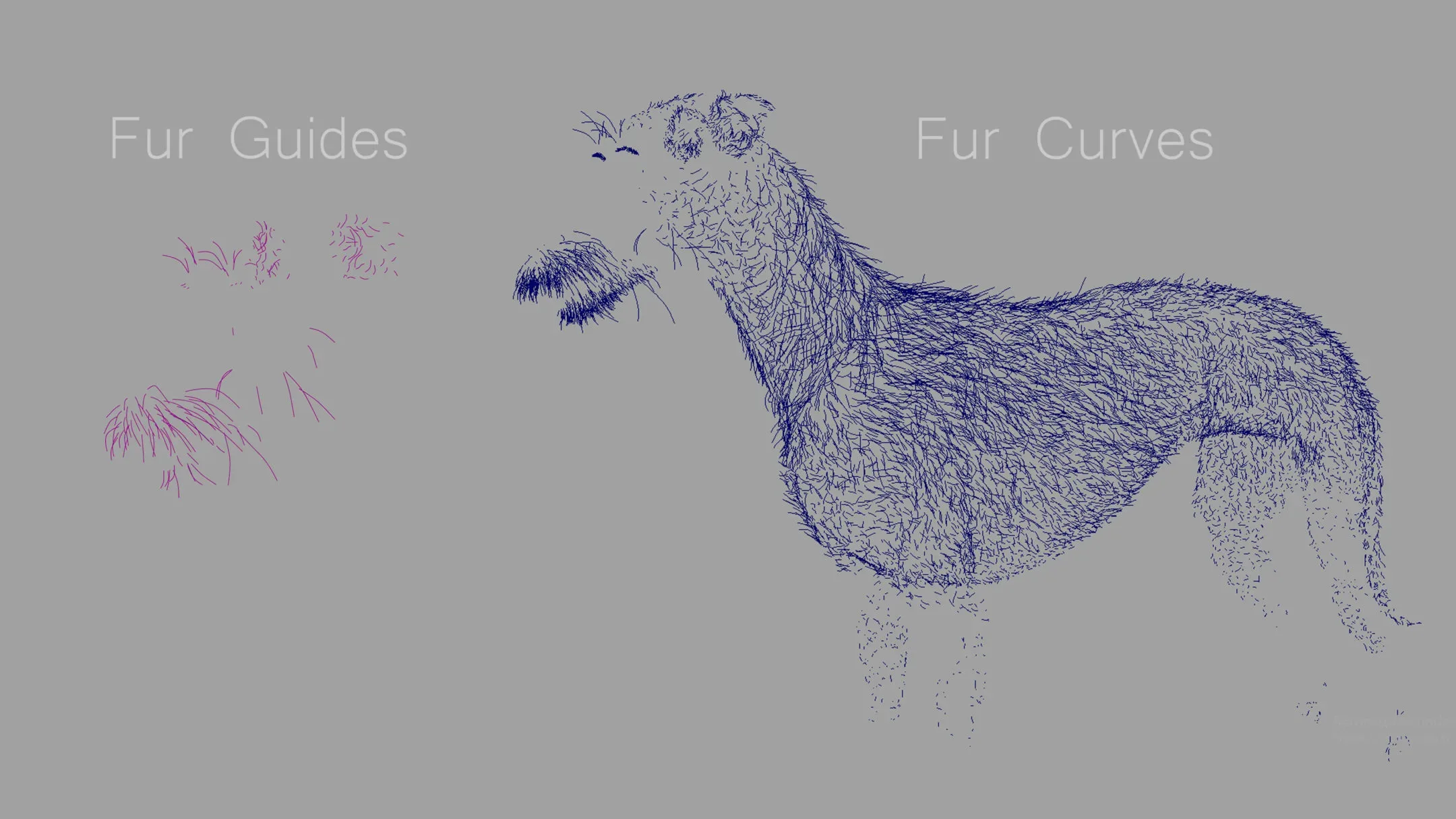 Greyhound Spotted Fur Animated