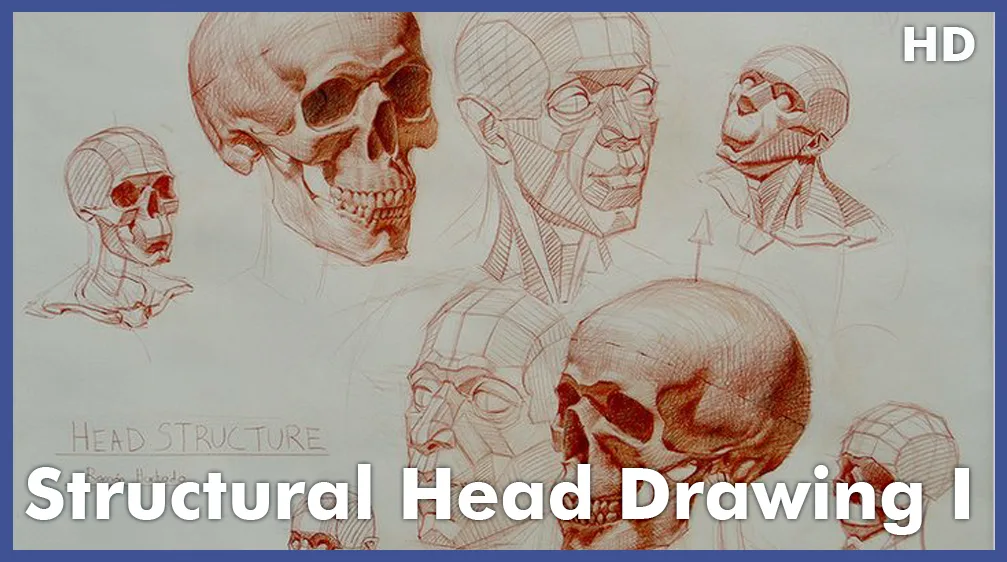 Structural Head Drawing I: Construction Fundamentals