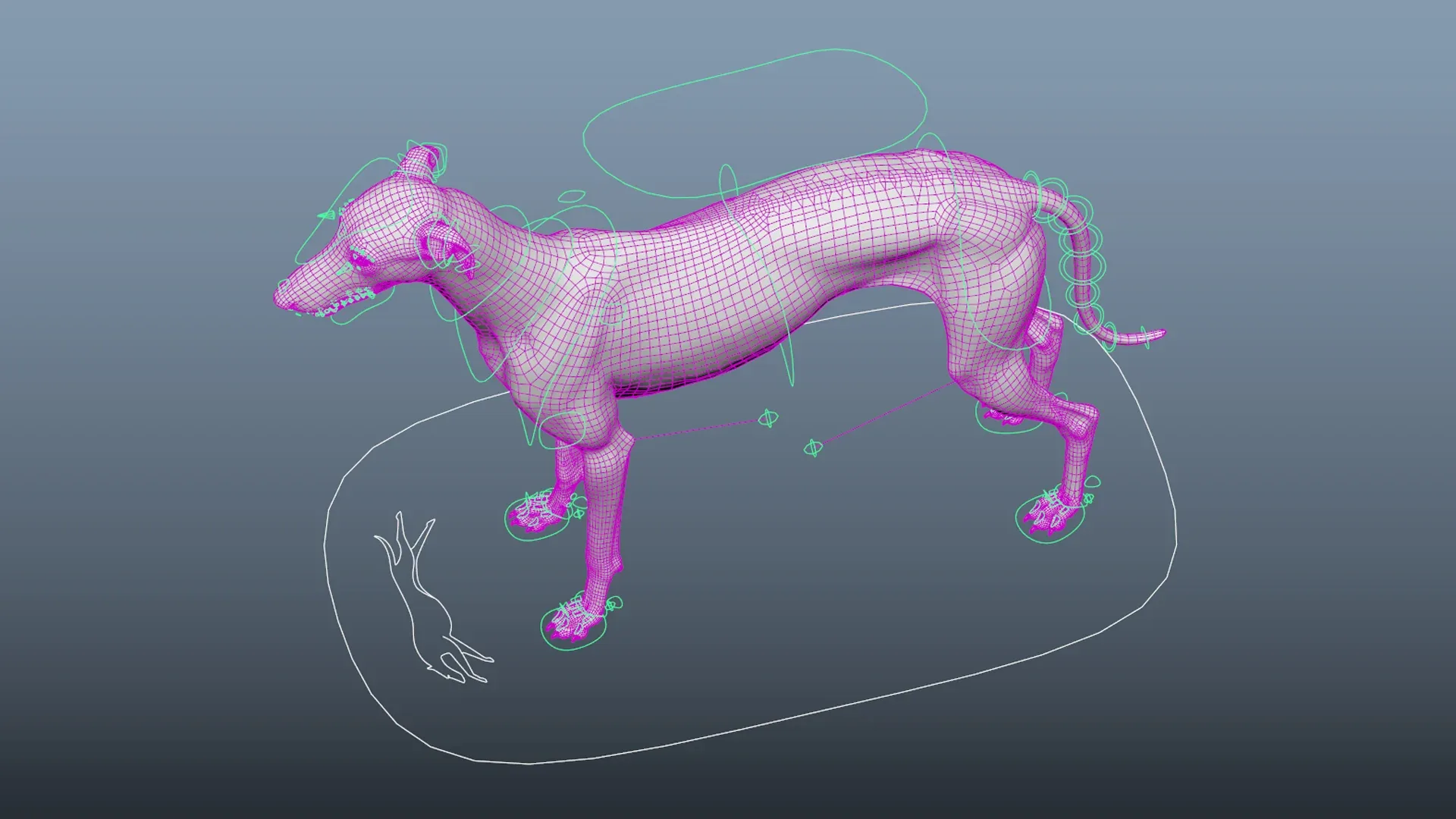 Greyhound Tiger Fur Rigged