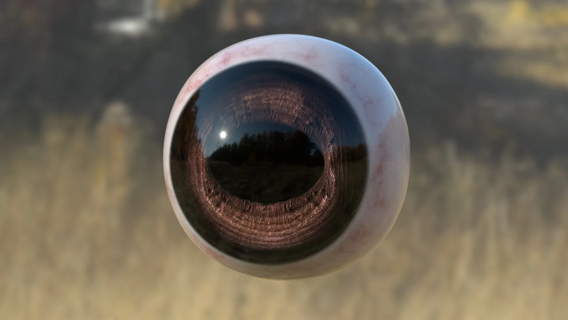 Horse Eye HD