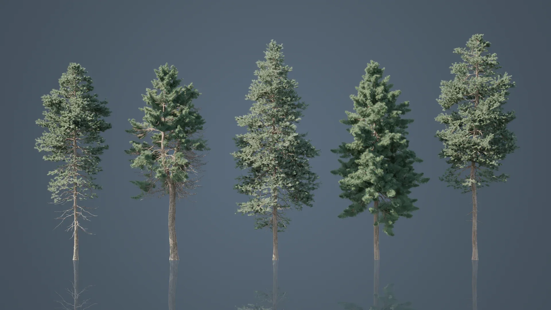 Tall Pine Trees Pack