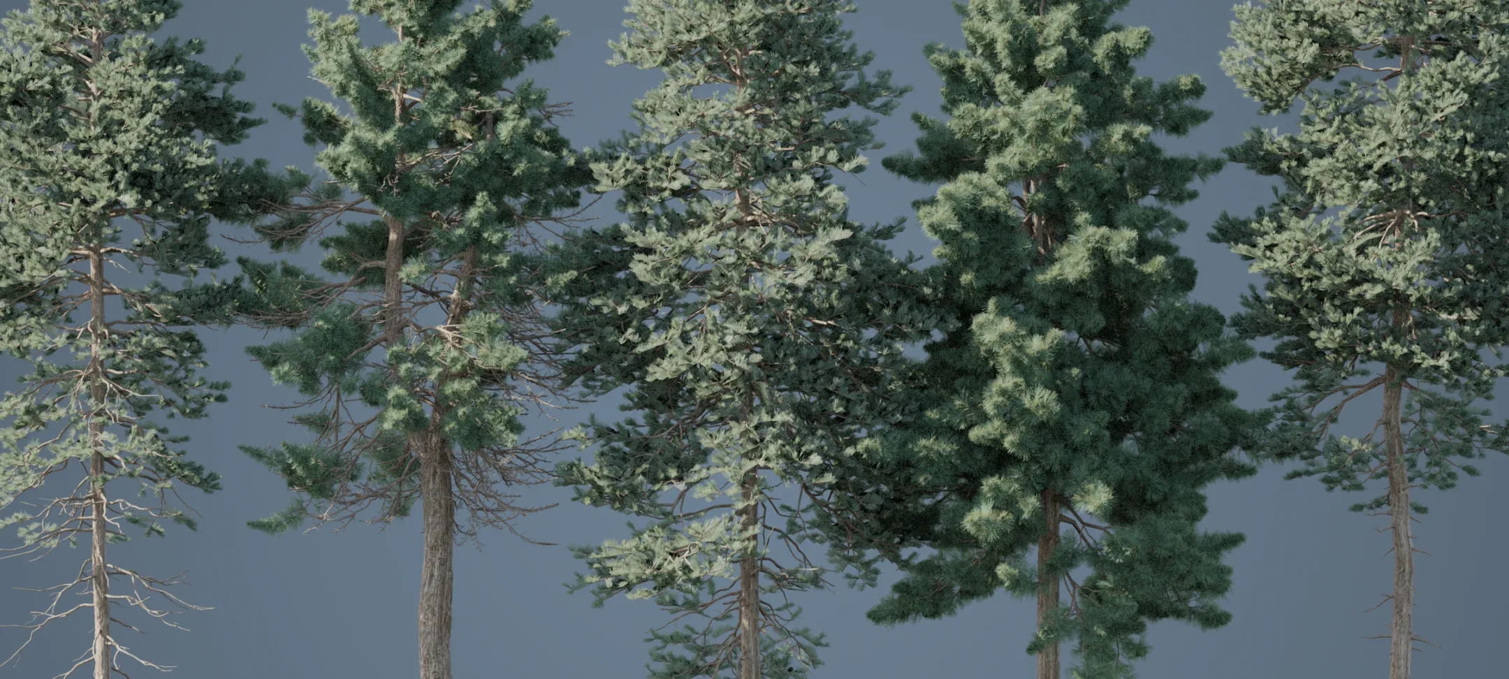 Tall Pine Trees Pack
