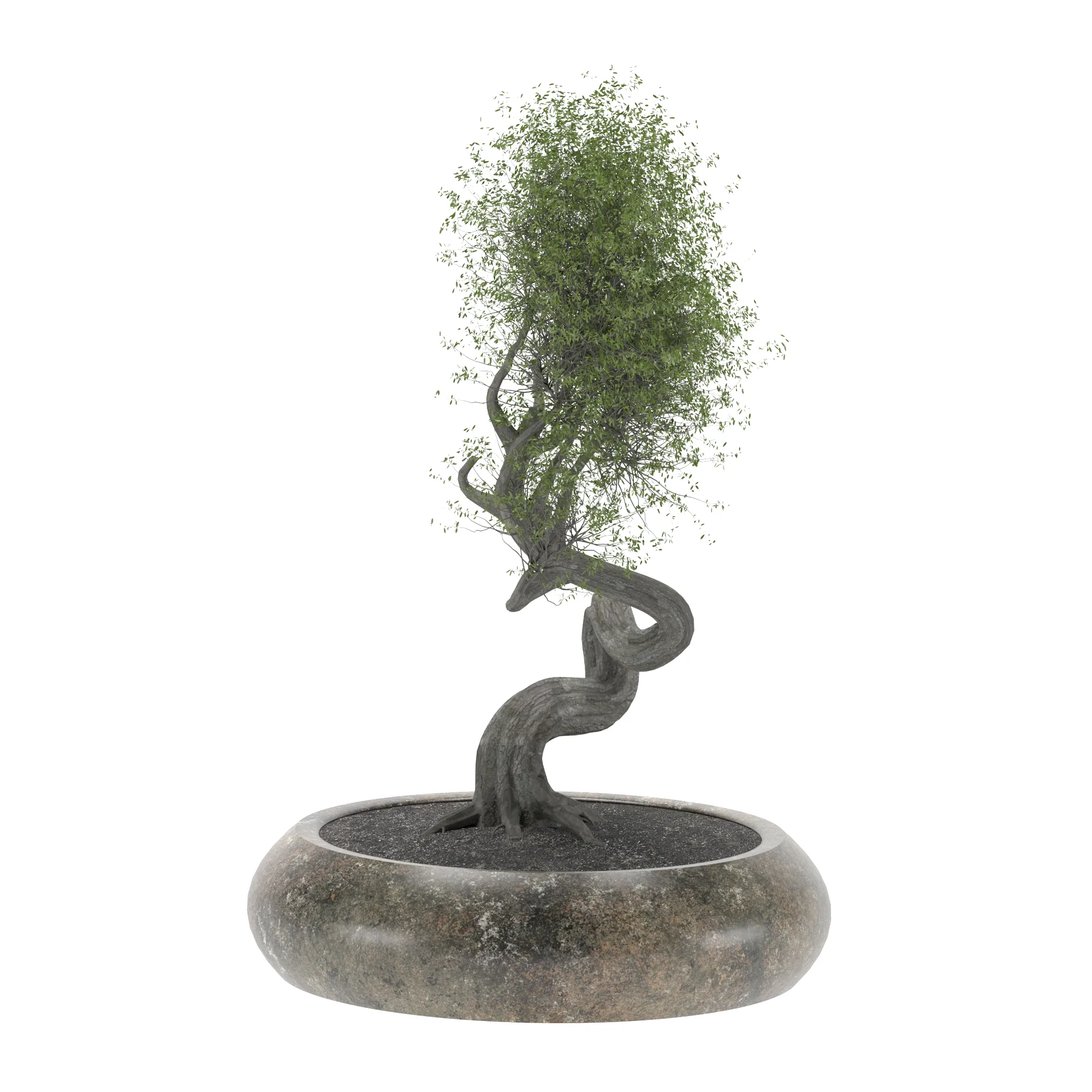 BONSAI