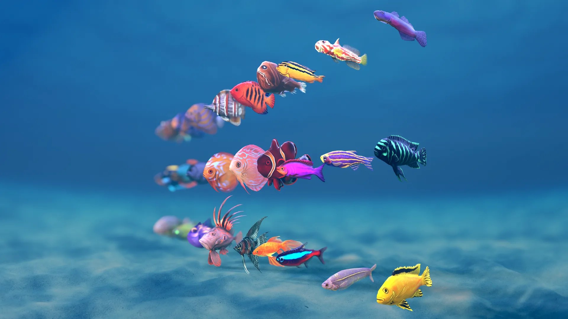 Stylized Small Fishes