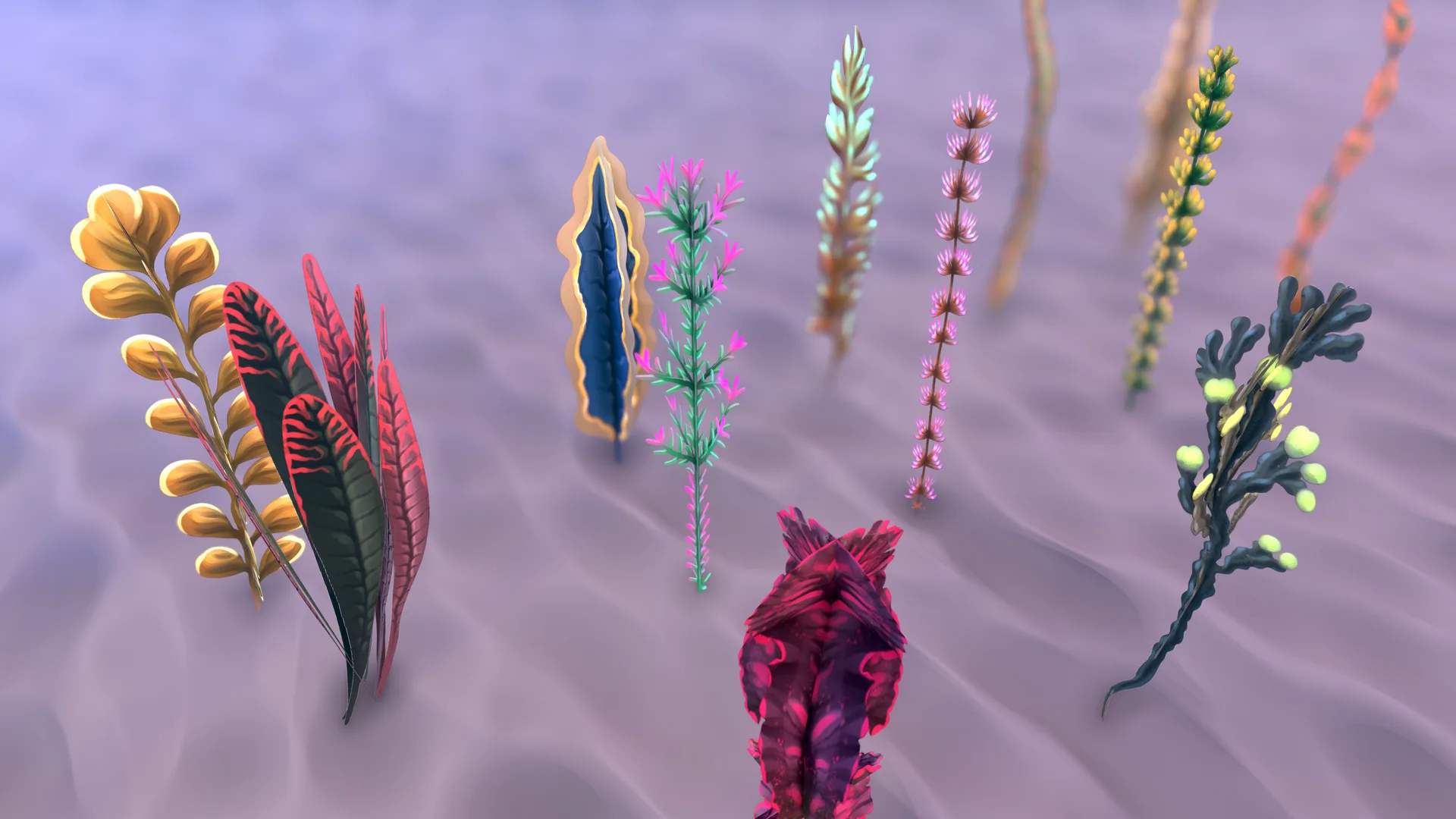 Stylized Seaweeds