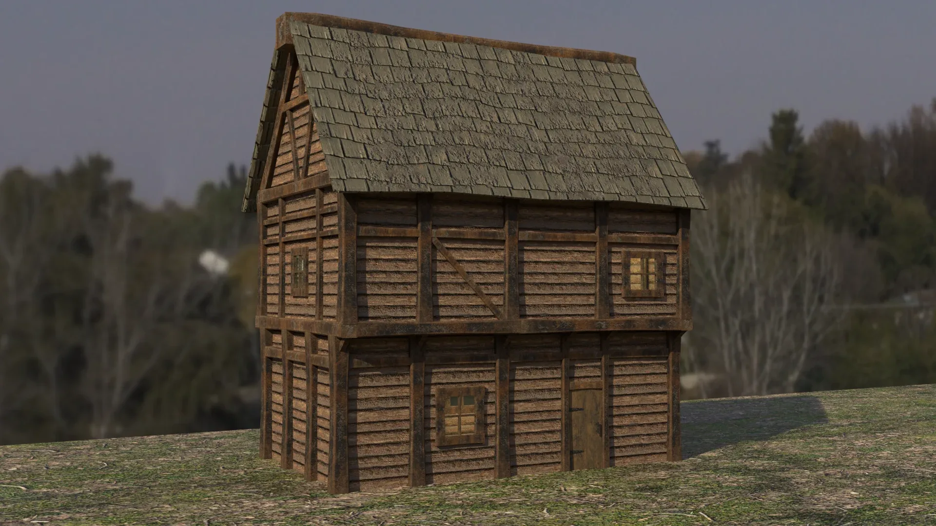 Medieval House Assets Pack