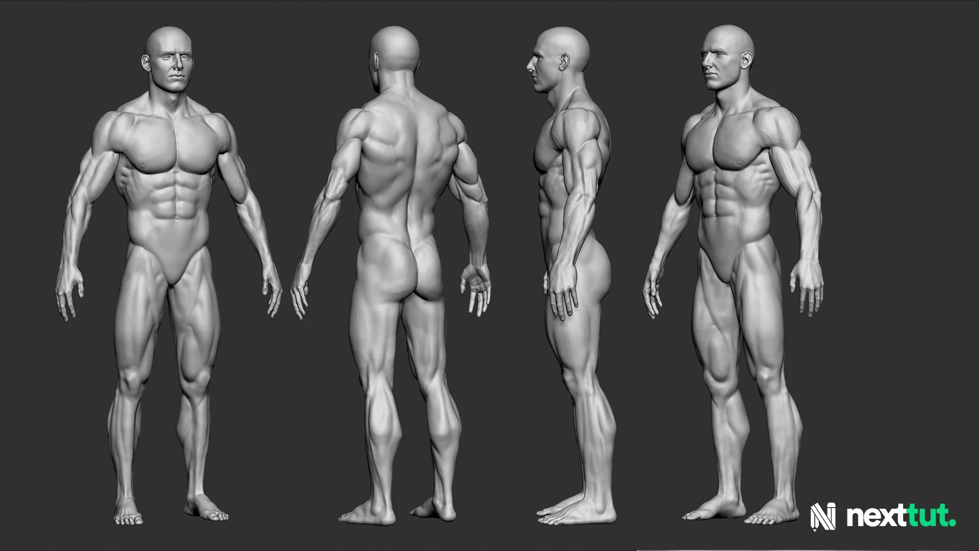 Dynamic Male Anatomy for Artists in Zbrush