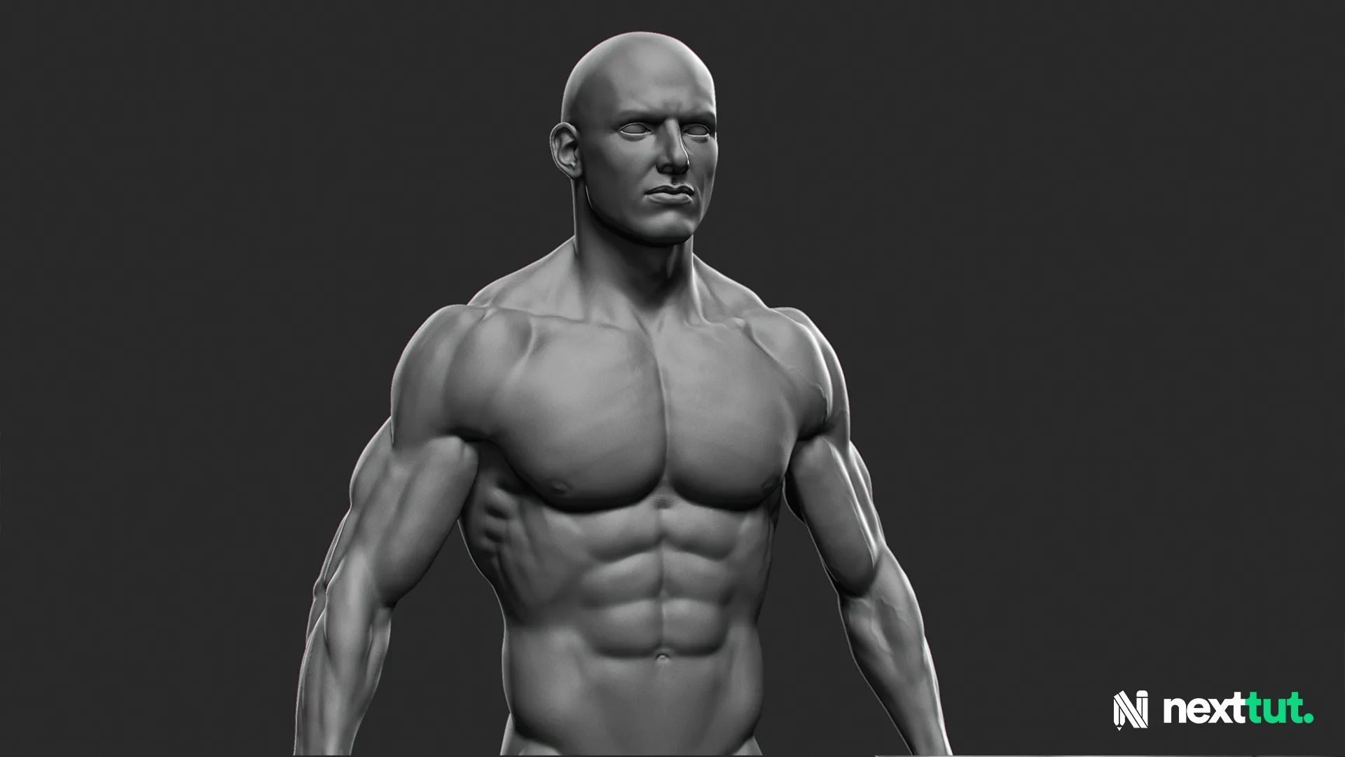 Dynamic Male Anatomy for Artists in Zbrush