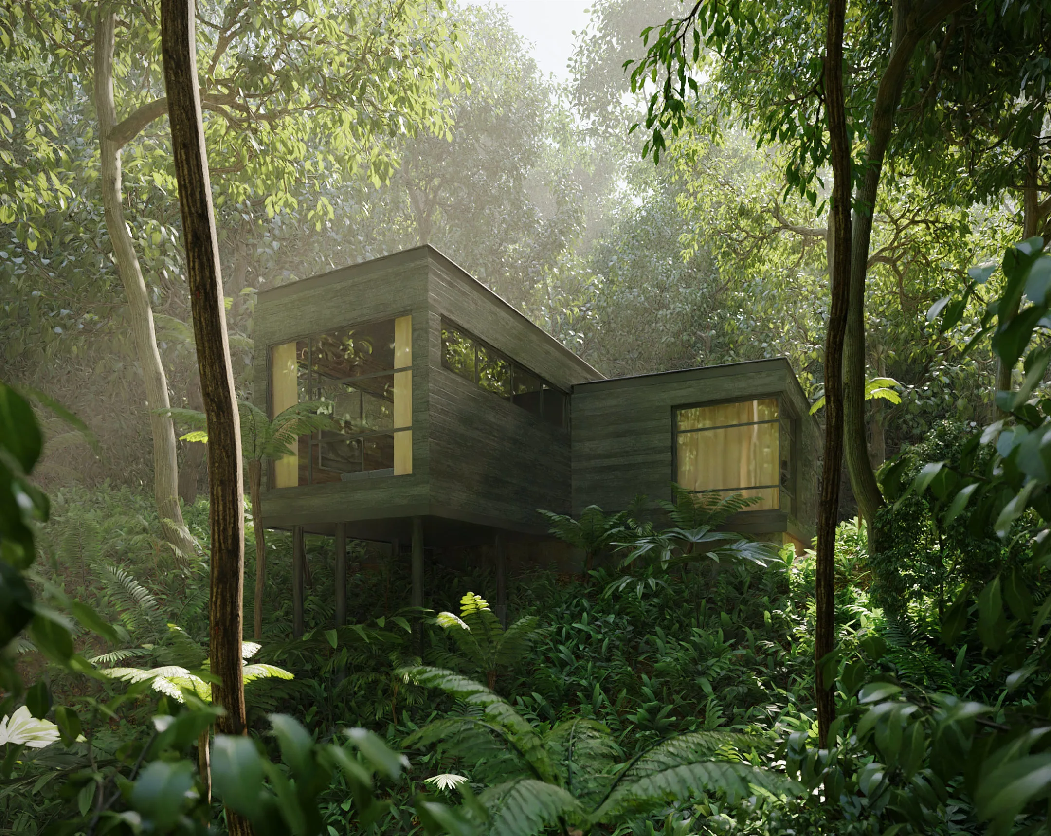 House in the Rainforest