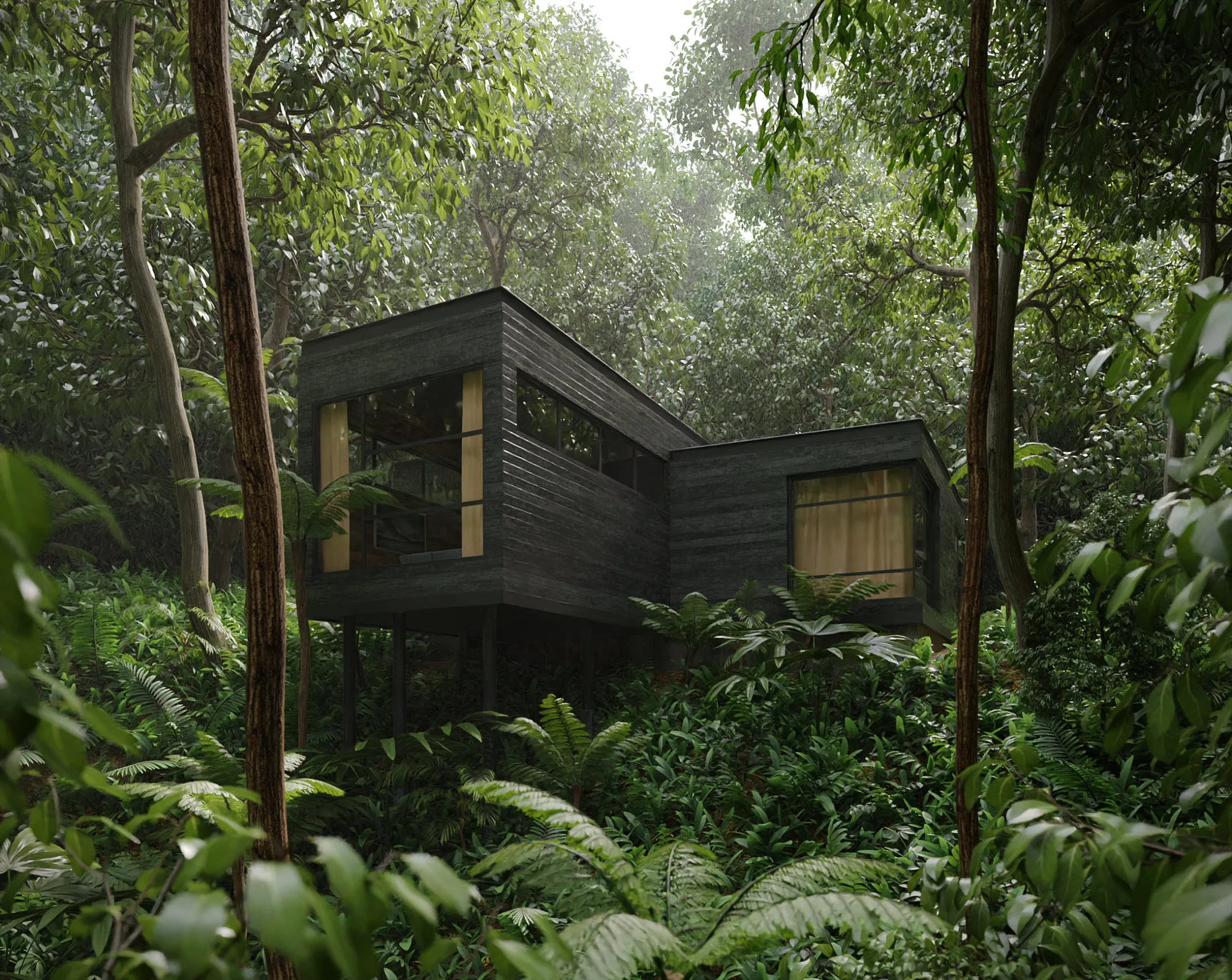 House in the Rainforest