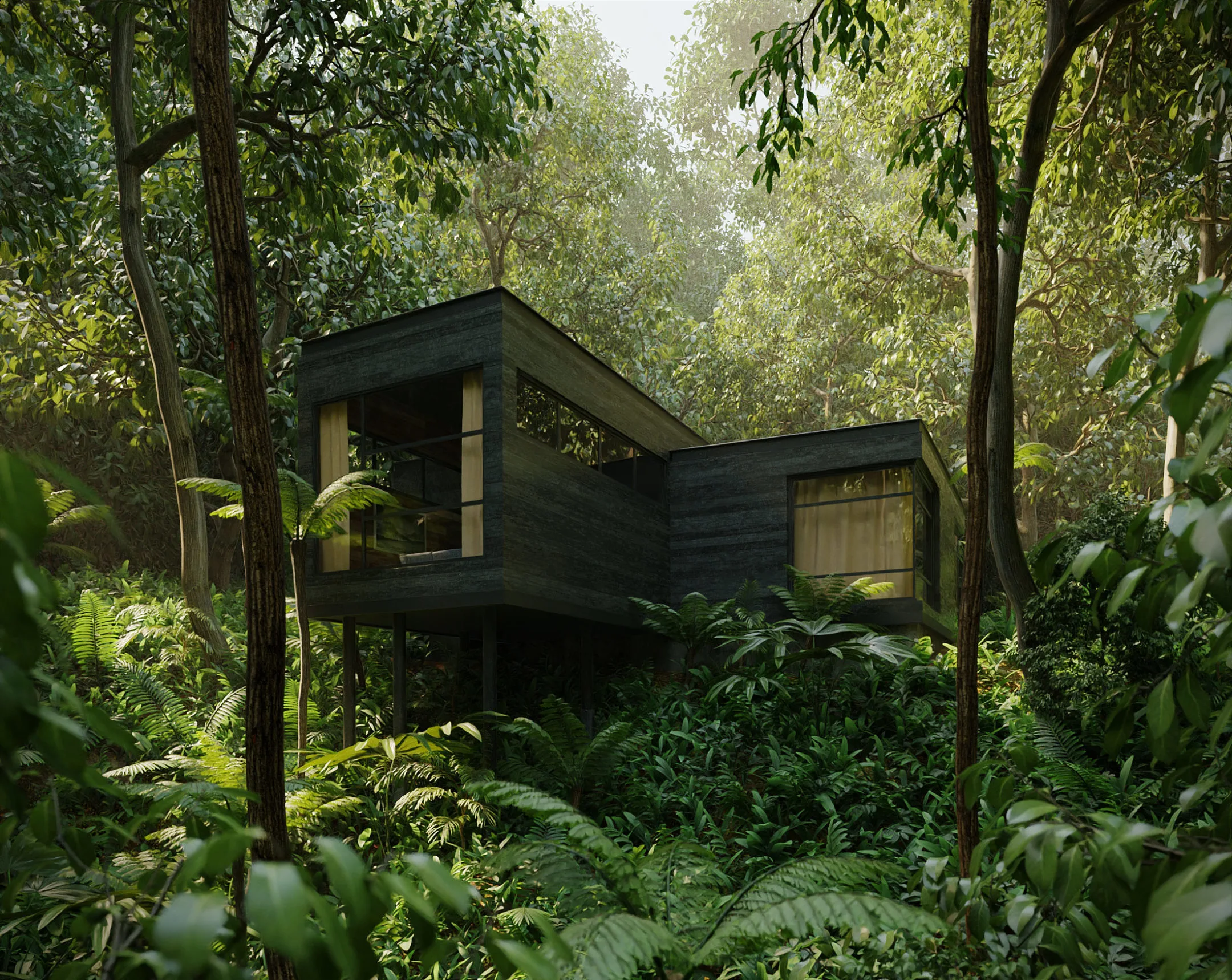 House in the Rainforest