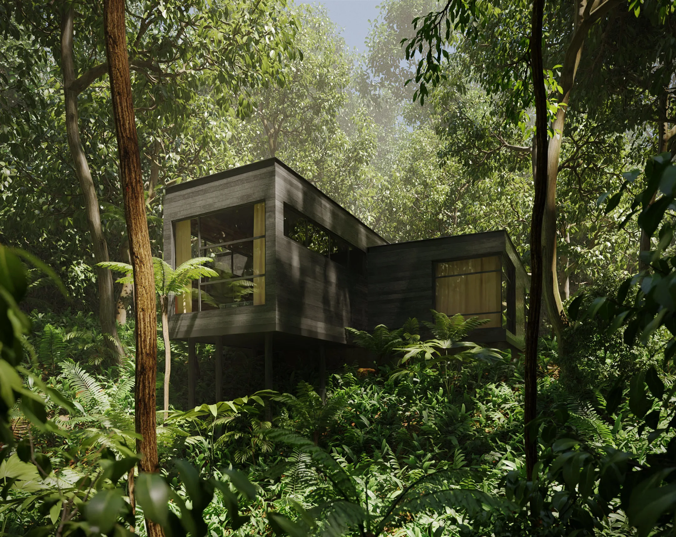 House in the Rainforest