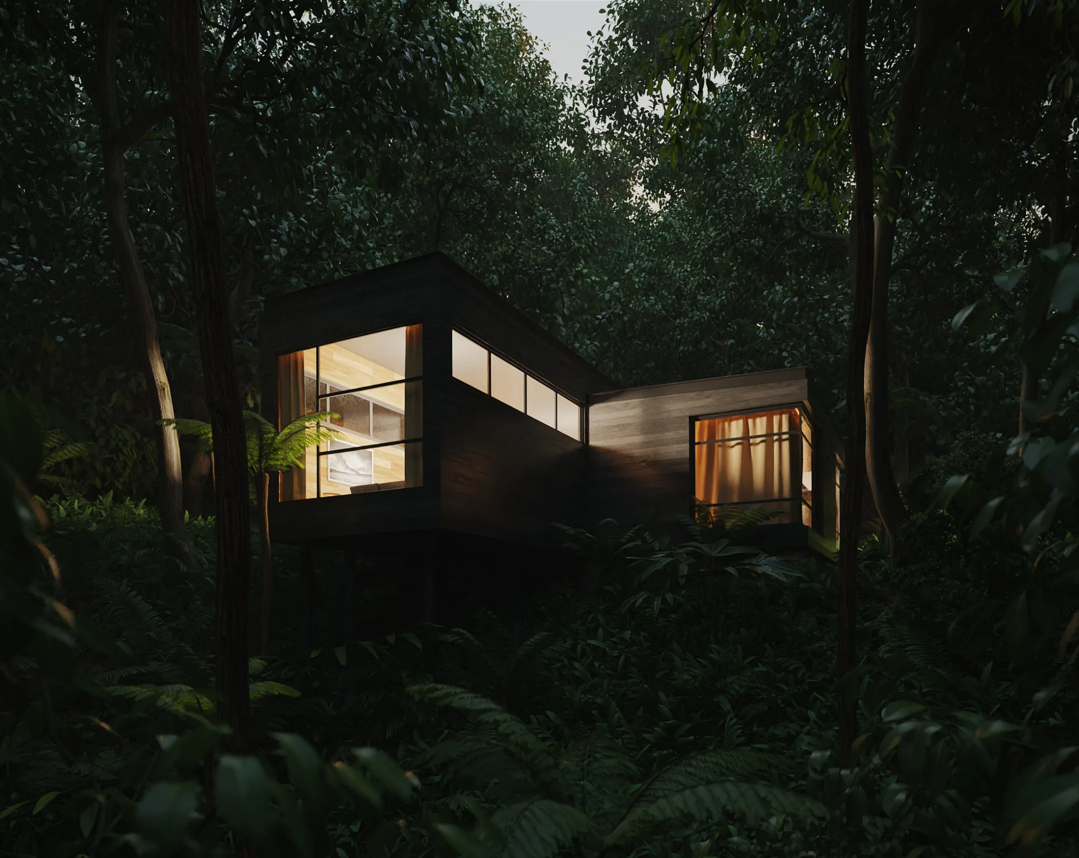 House in the Rainforest