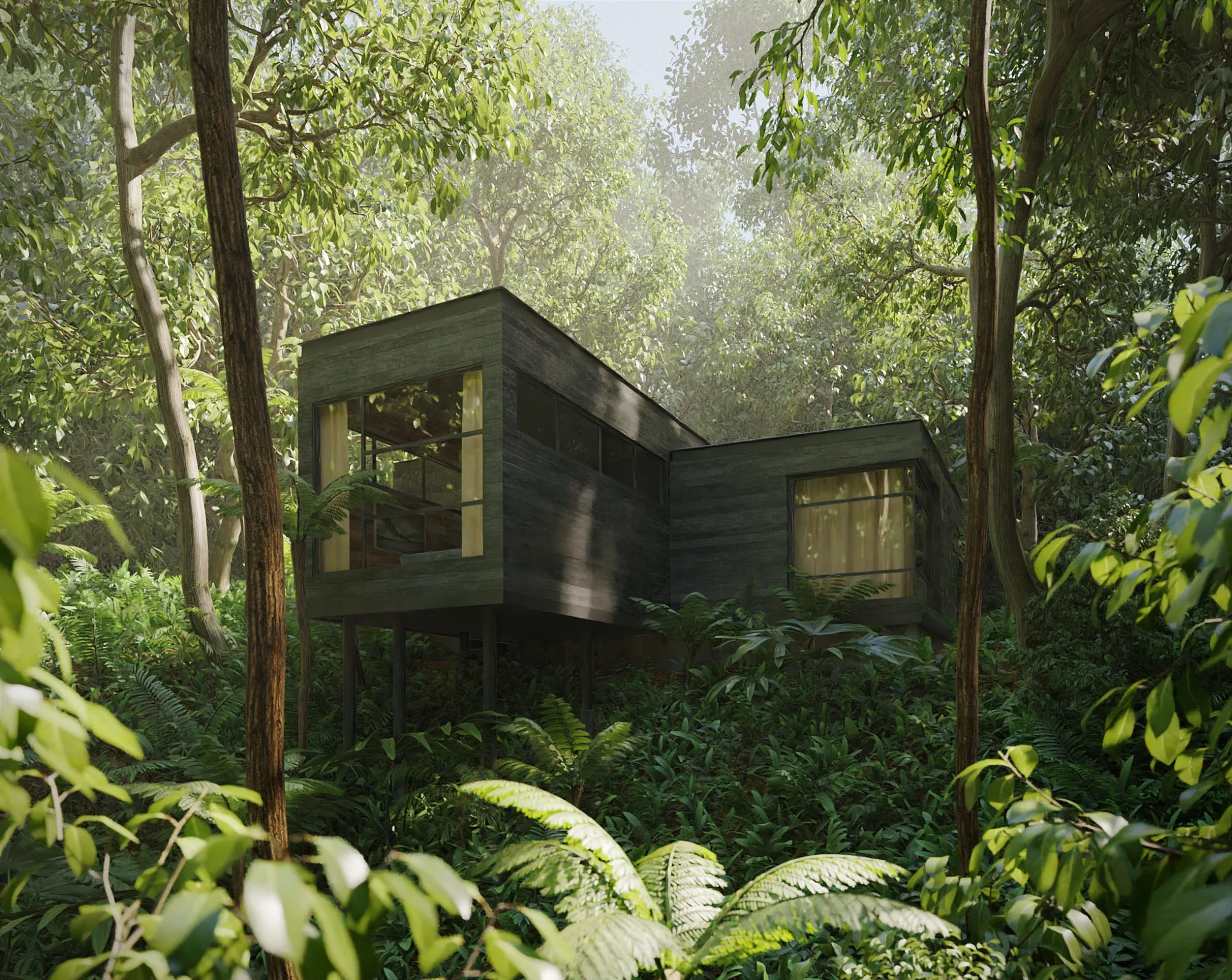 House in the Rainforest