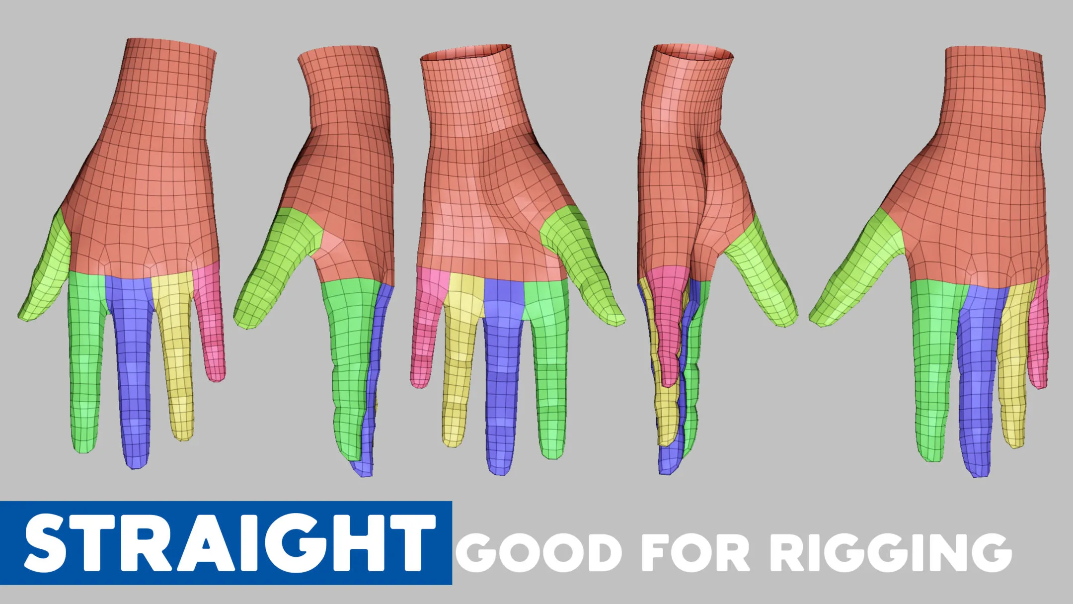 Hand Basemesh Topology