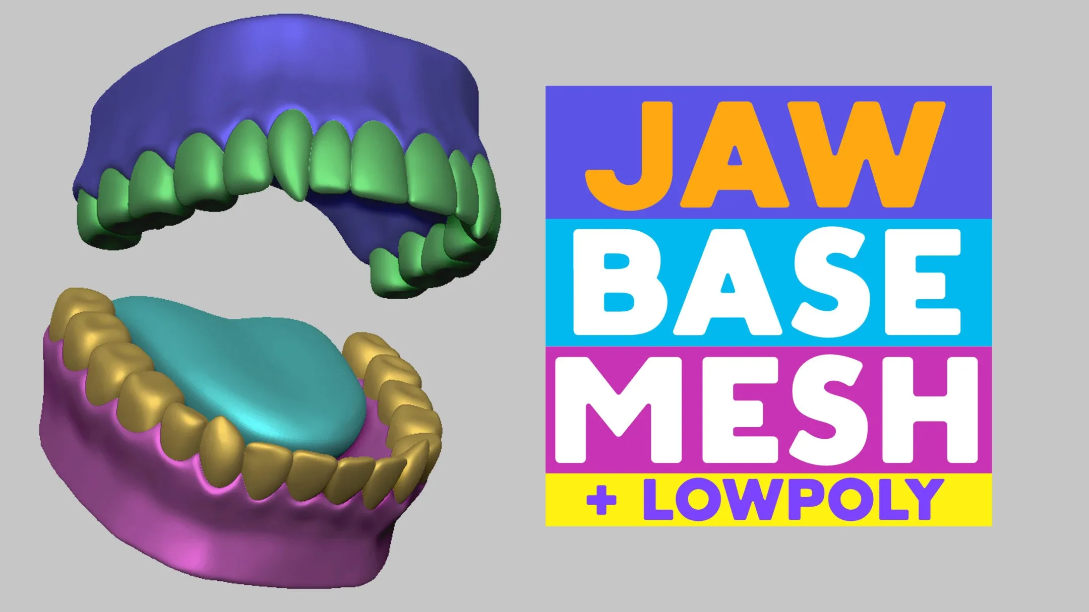 Jaw Basemesh + Lowpoly with UV Map