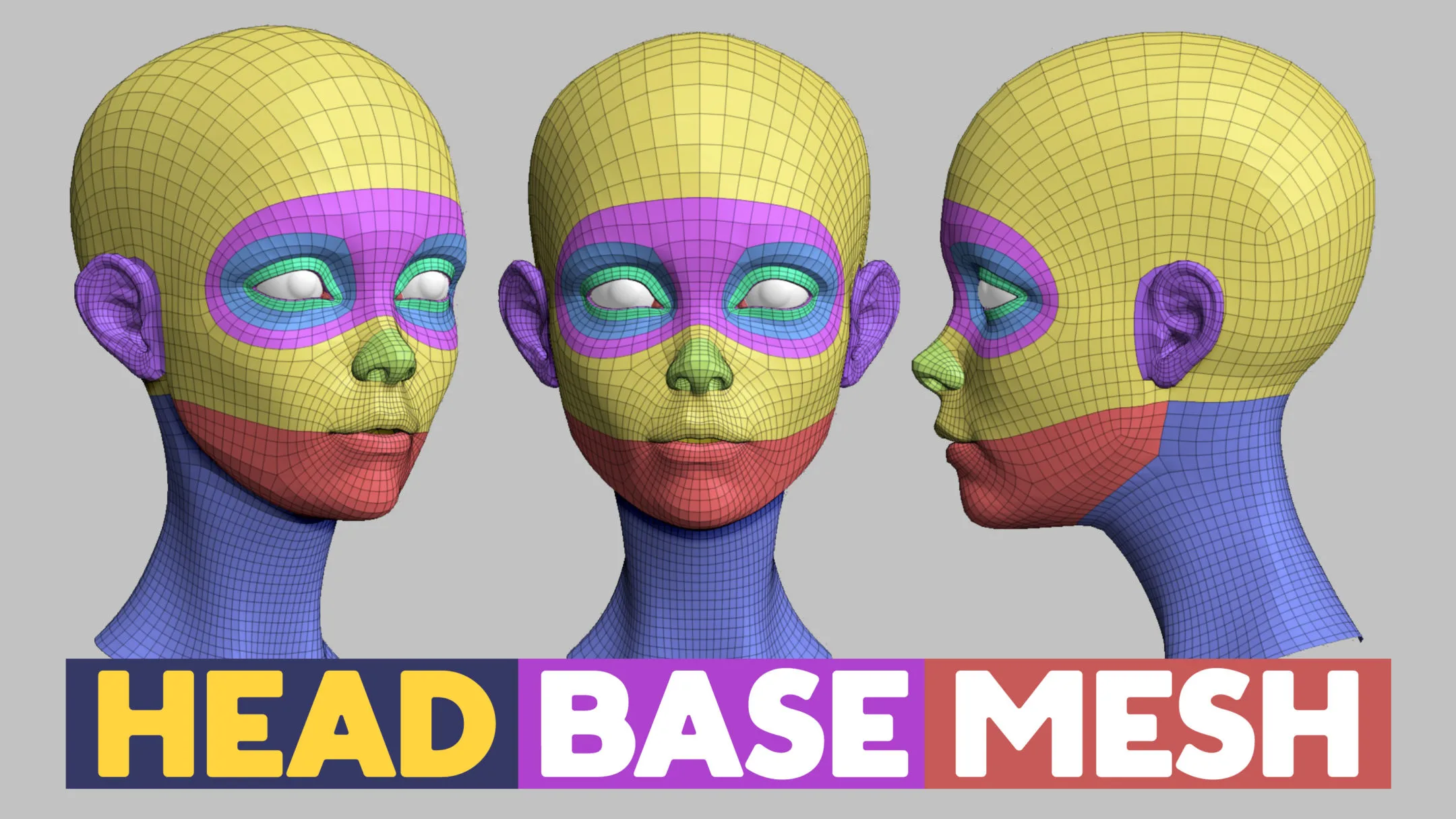 Head Basemesh Topology