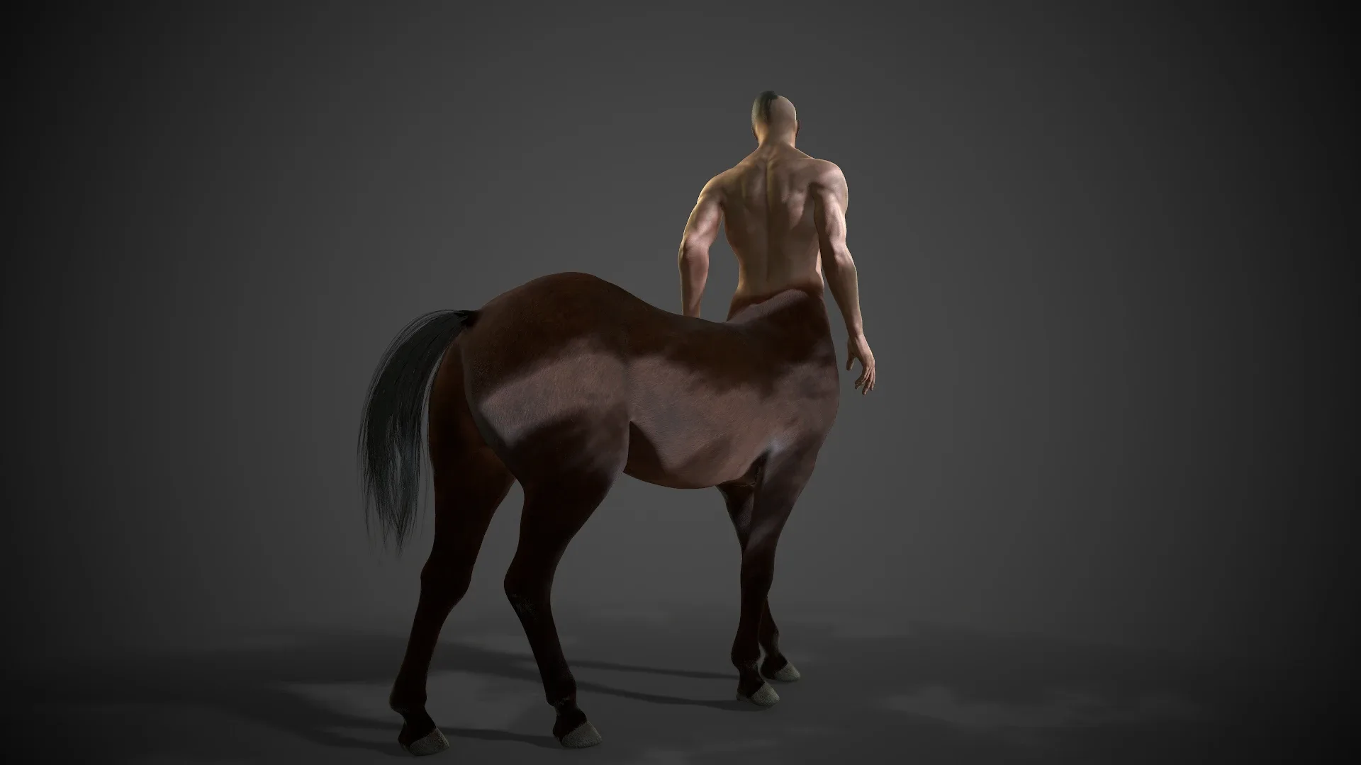 Rigged Centaur