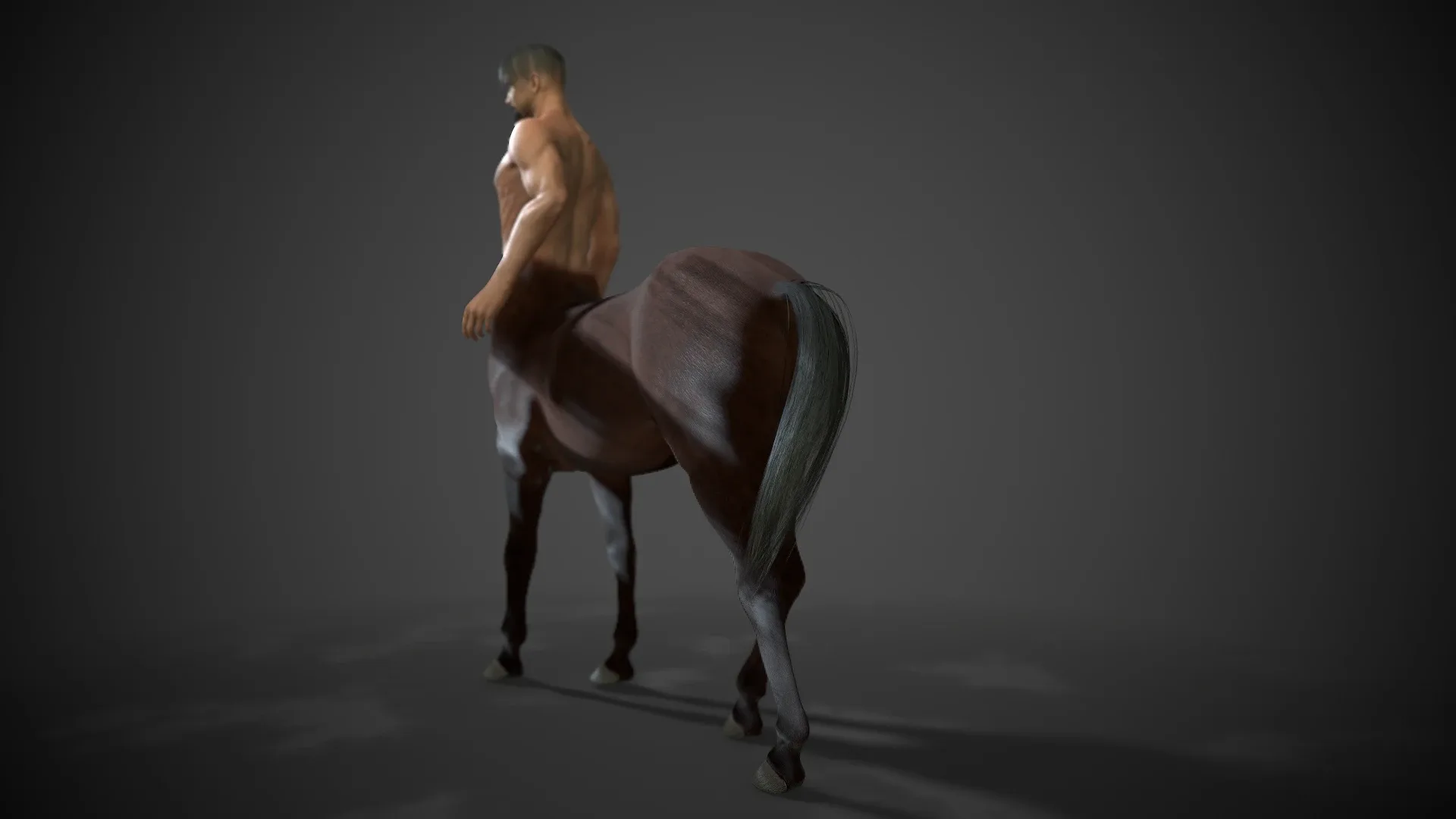 Rigged Centaur