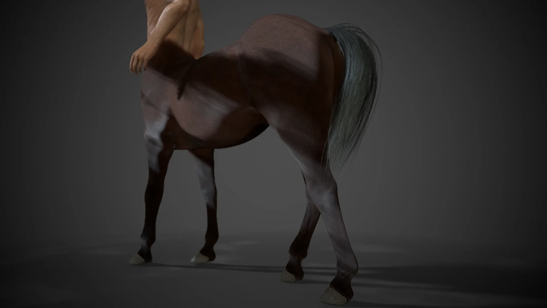 Rigged Centaur