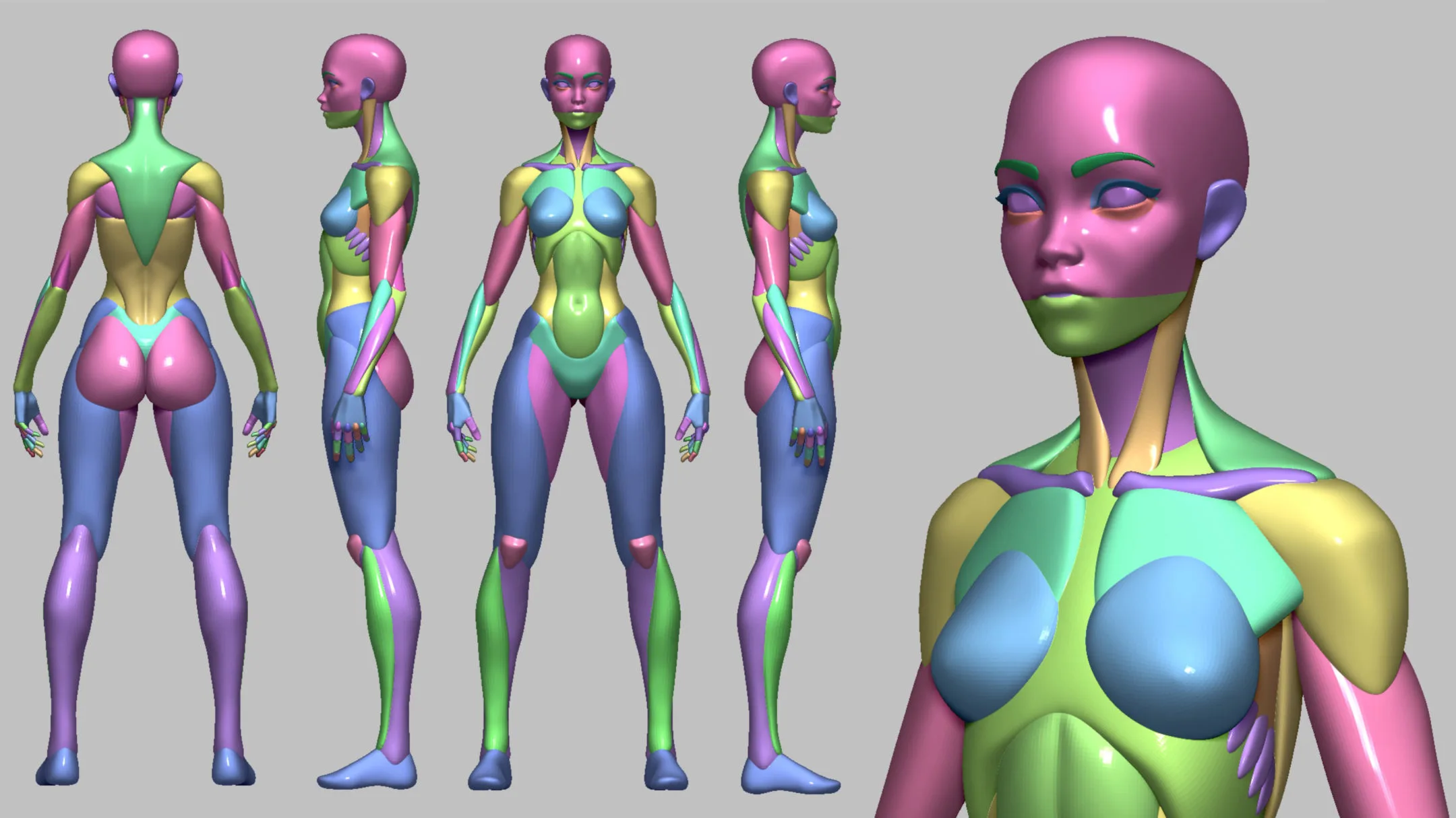 Stylized Female Anatomy Basemesh