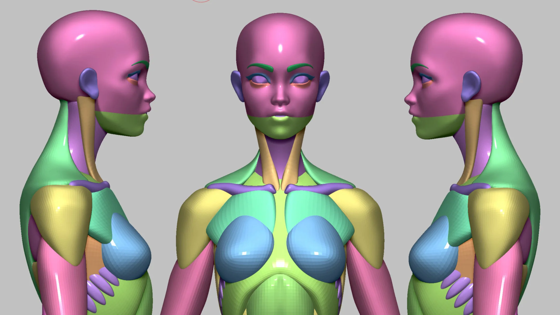 Stylized Female Anatomy Basemesh