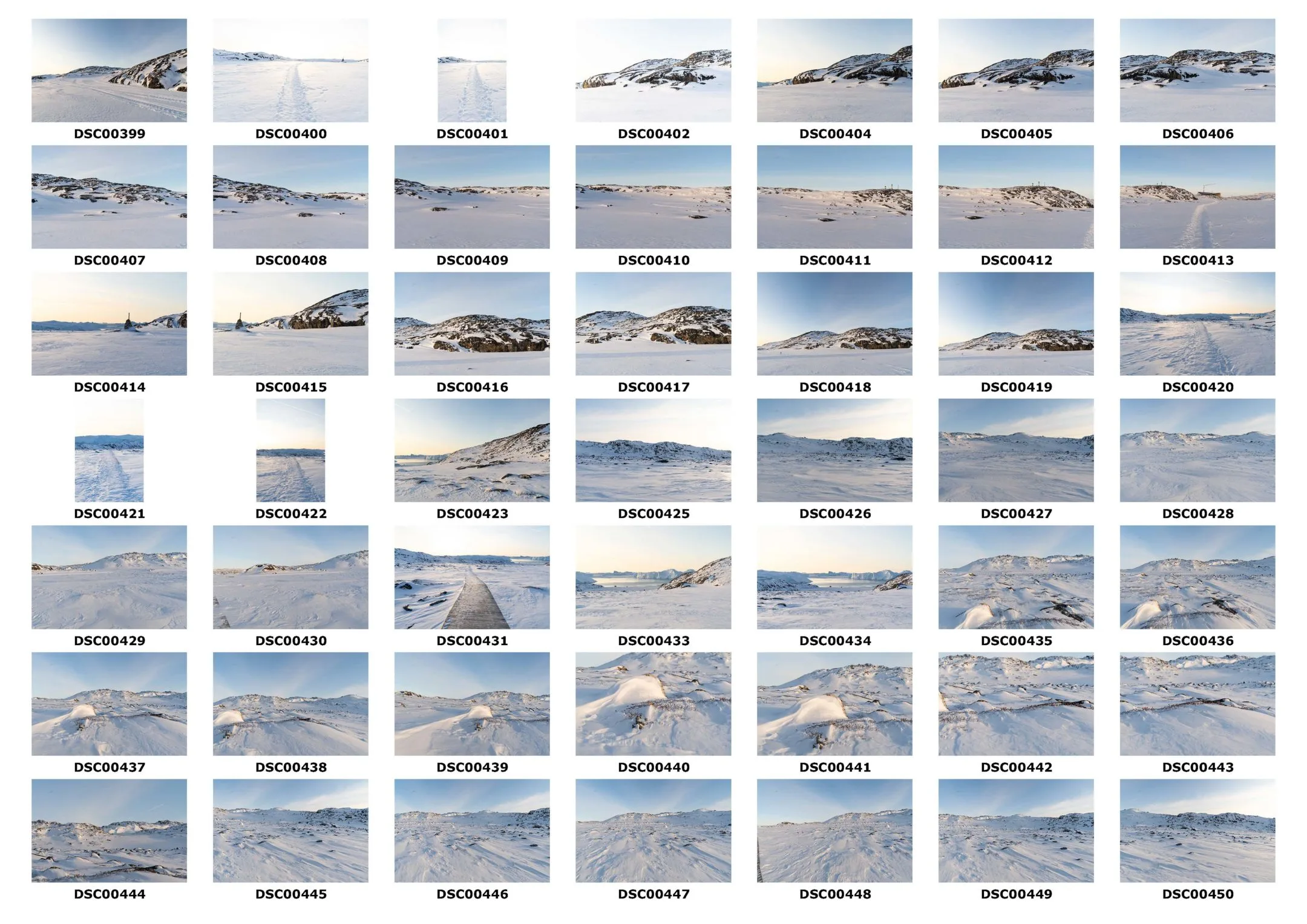 GREENLAND - ICEFJORD /COSTAL / CLIFFS / Photo Reference / 400 images