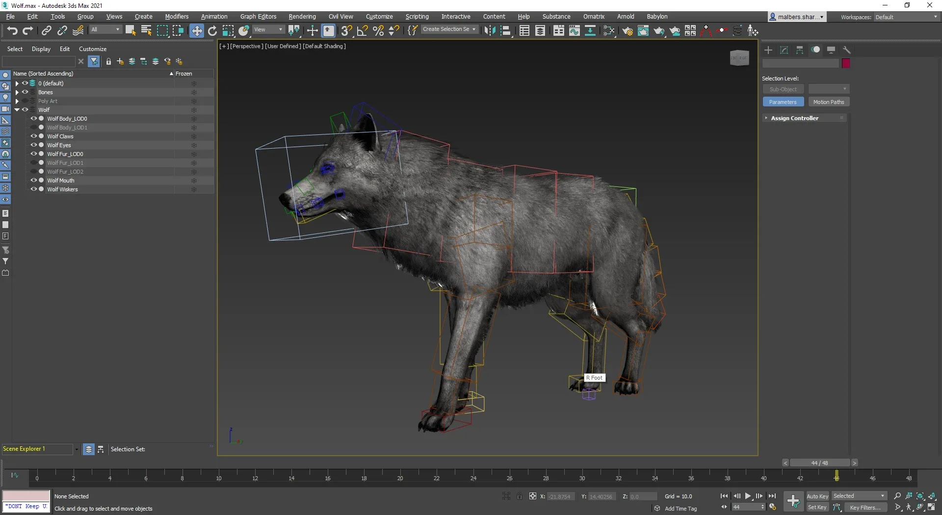 Wolf Realistic