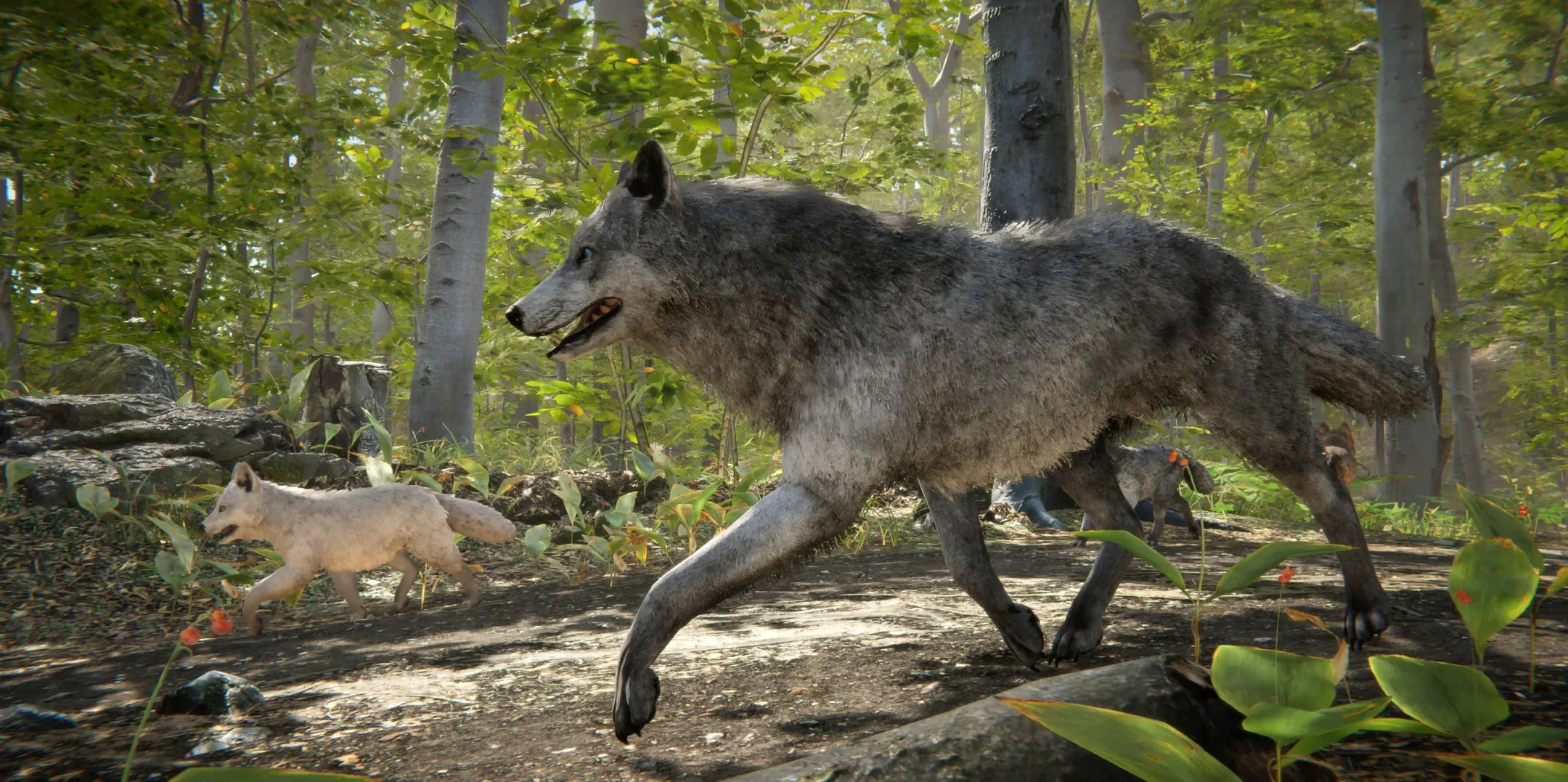 Wolf Realistic