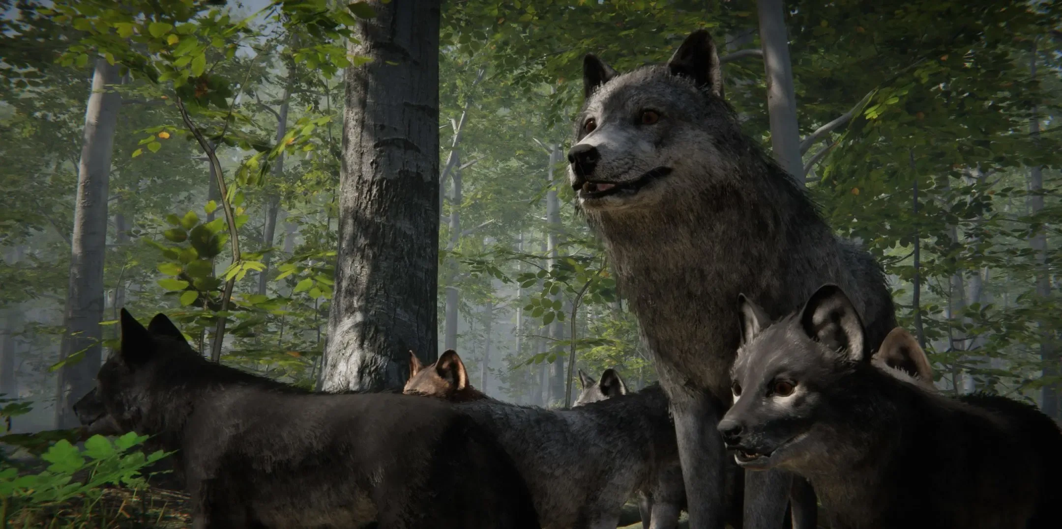 Wolf Realistic