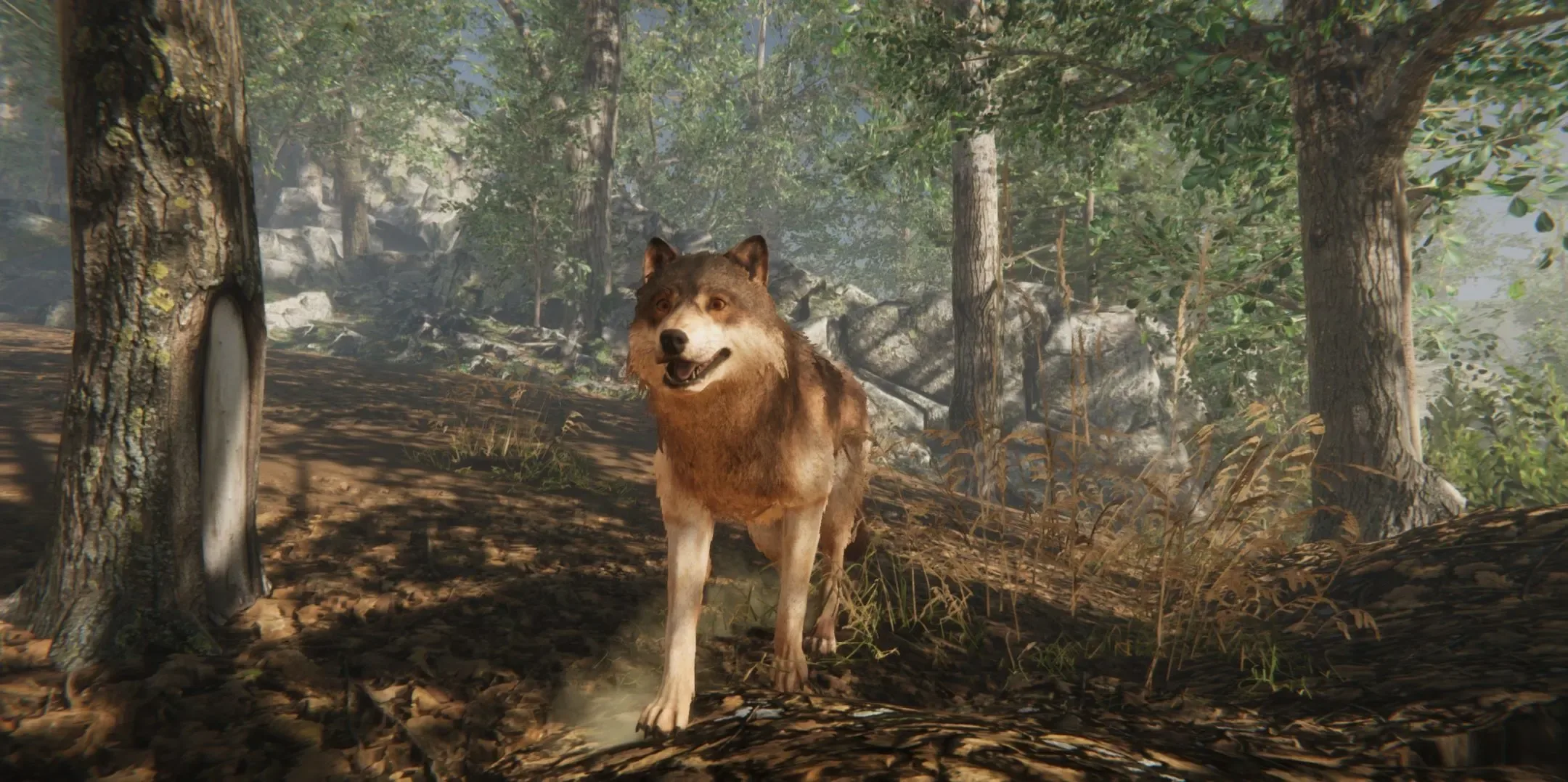 Wolf Realistic