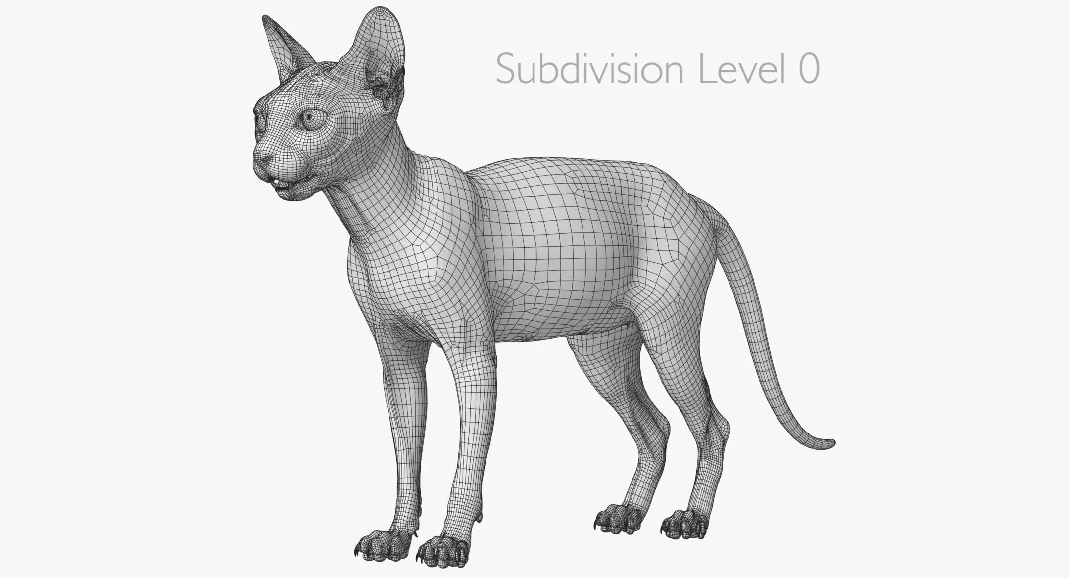 Sphynx Cat Black Animated