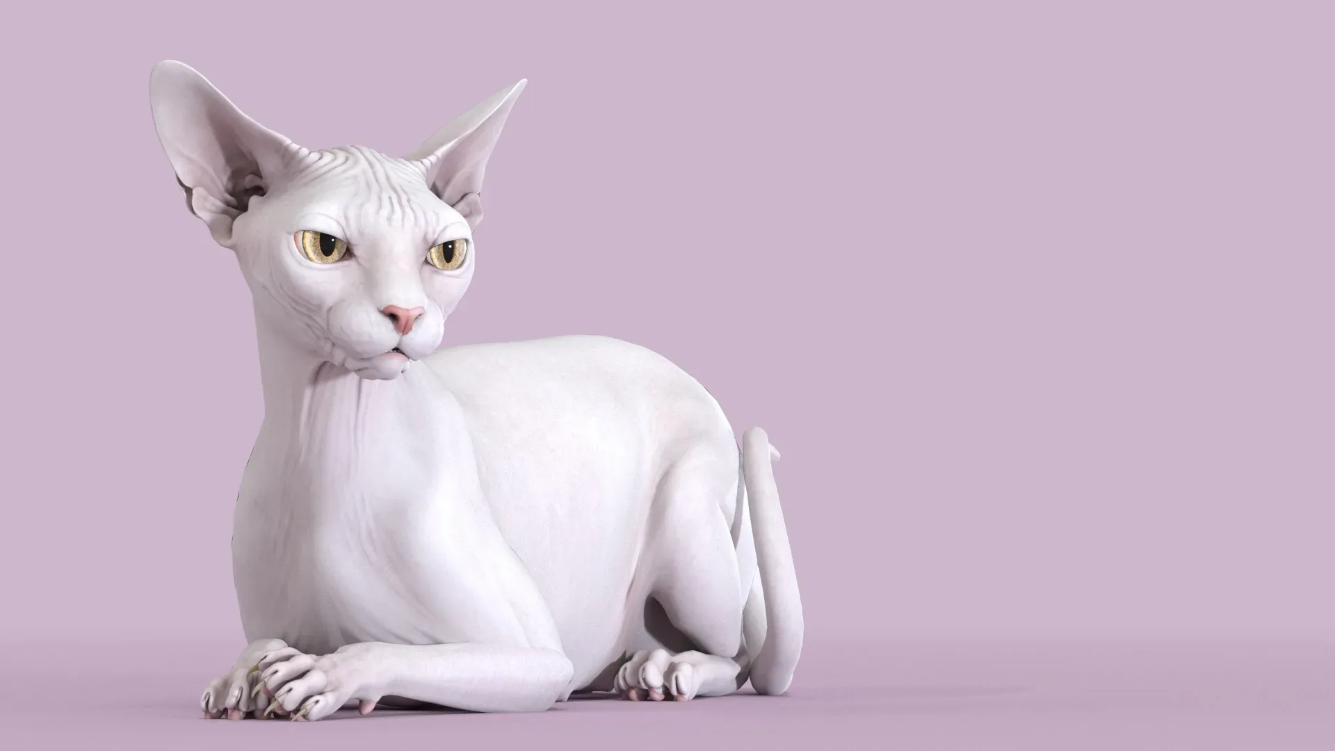 Sphynx Cat White Rigged