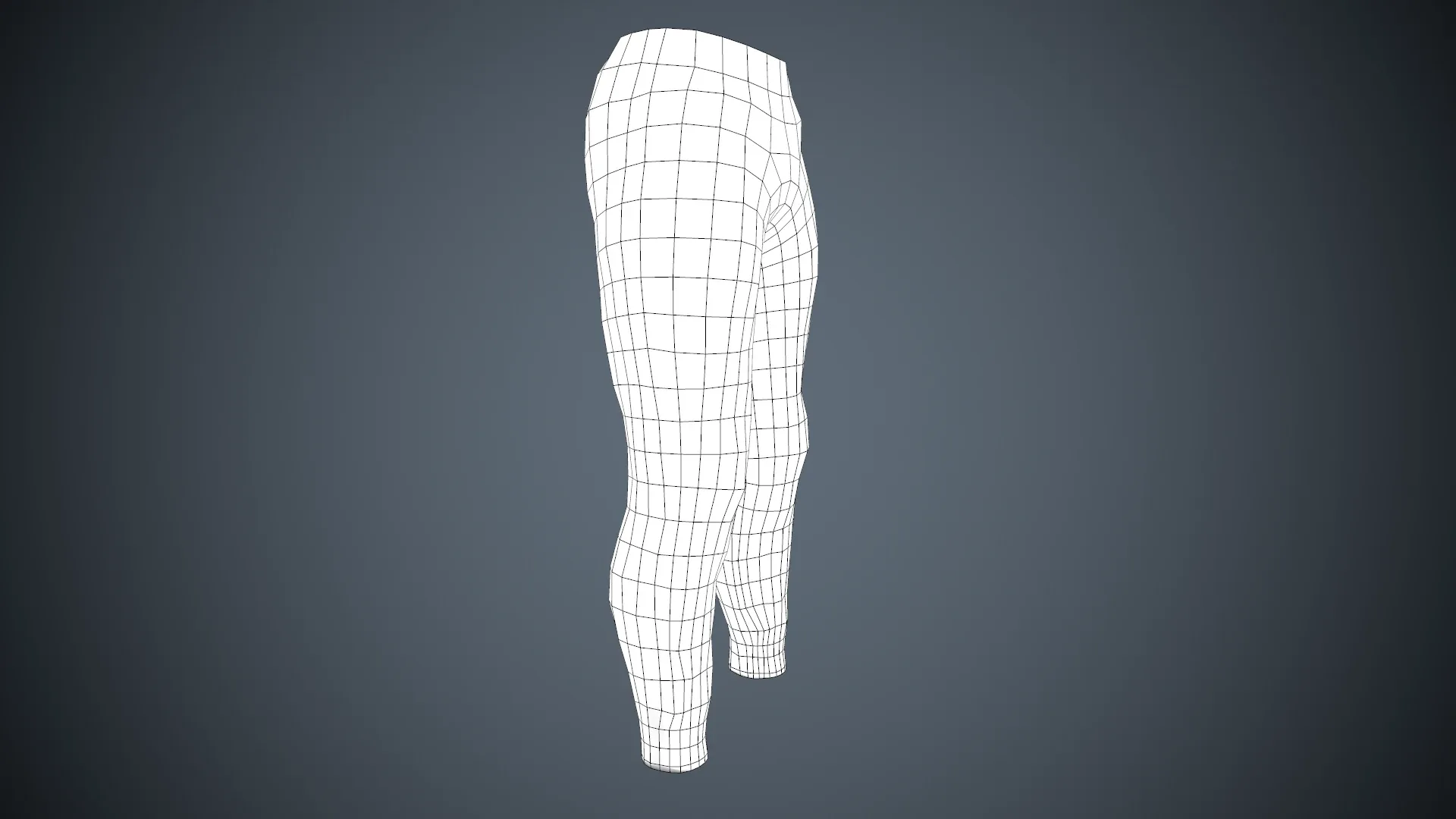 Gray Sport Pants
