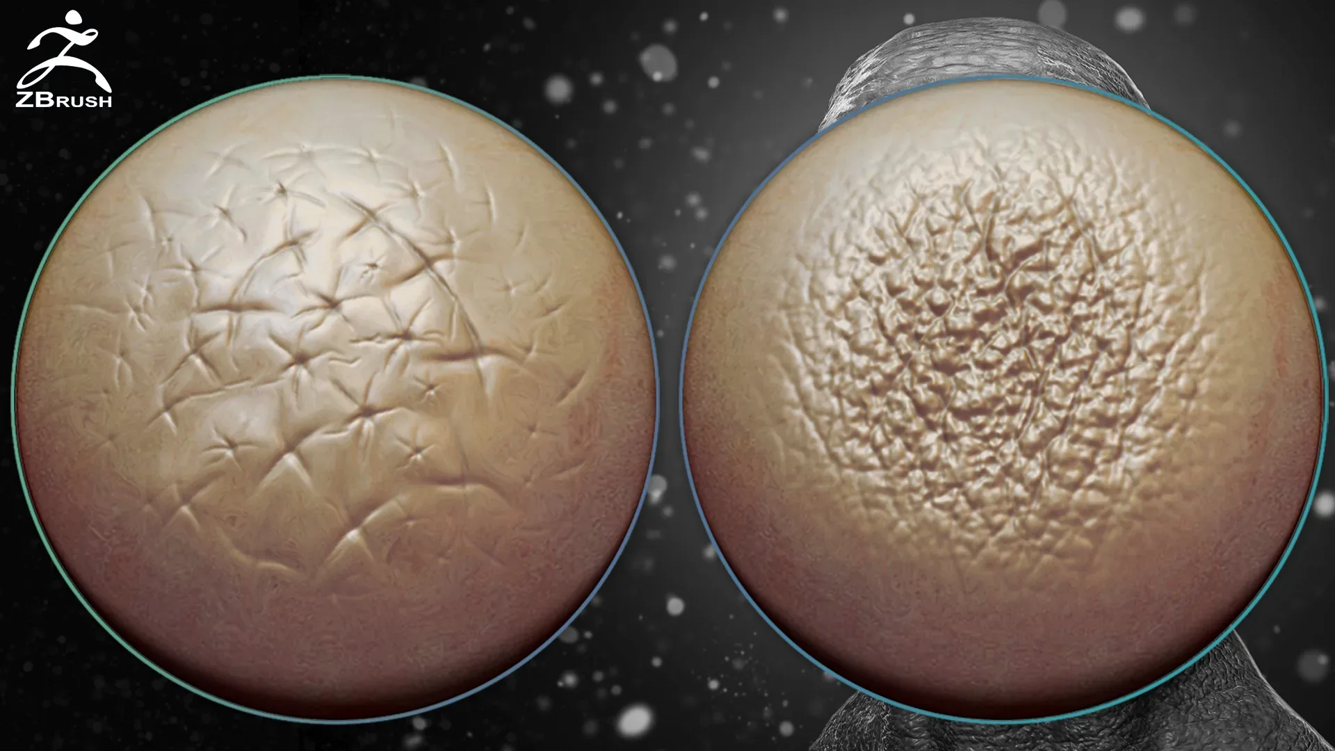 Skin Alphas for ZBrush