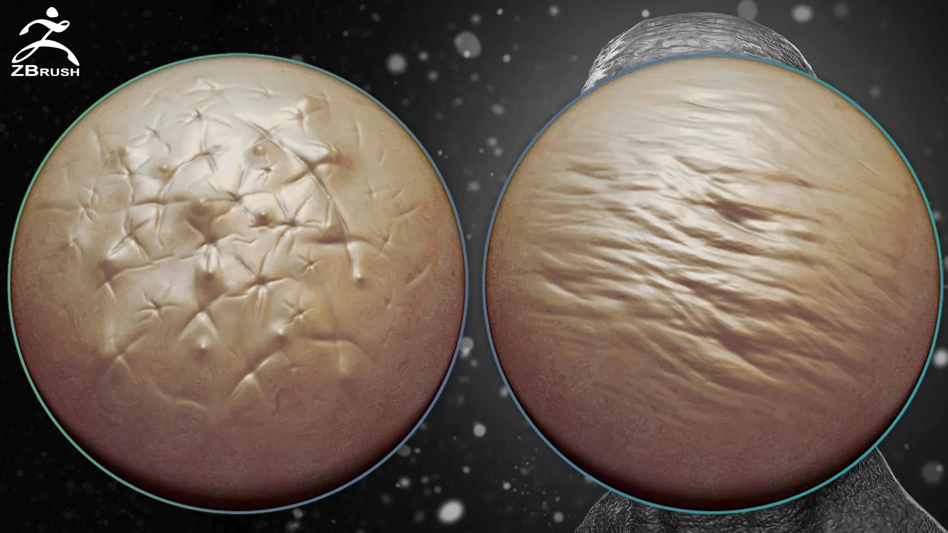 Skin Alphas for ZBrush