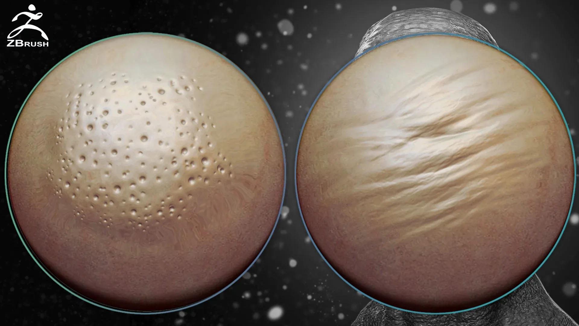 Skin Alphas for ZBrush