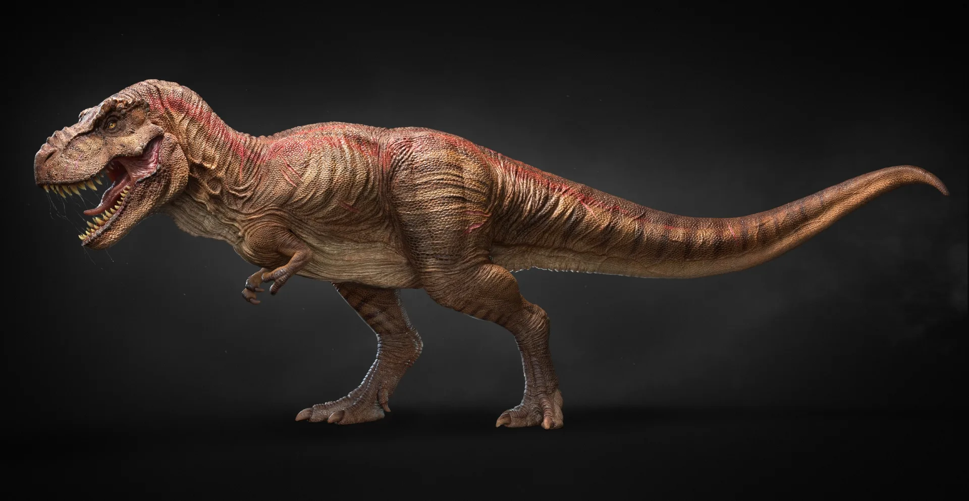 TREX - MODELS + 2 ZBRUSH FILES + TEXTURES